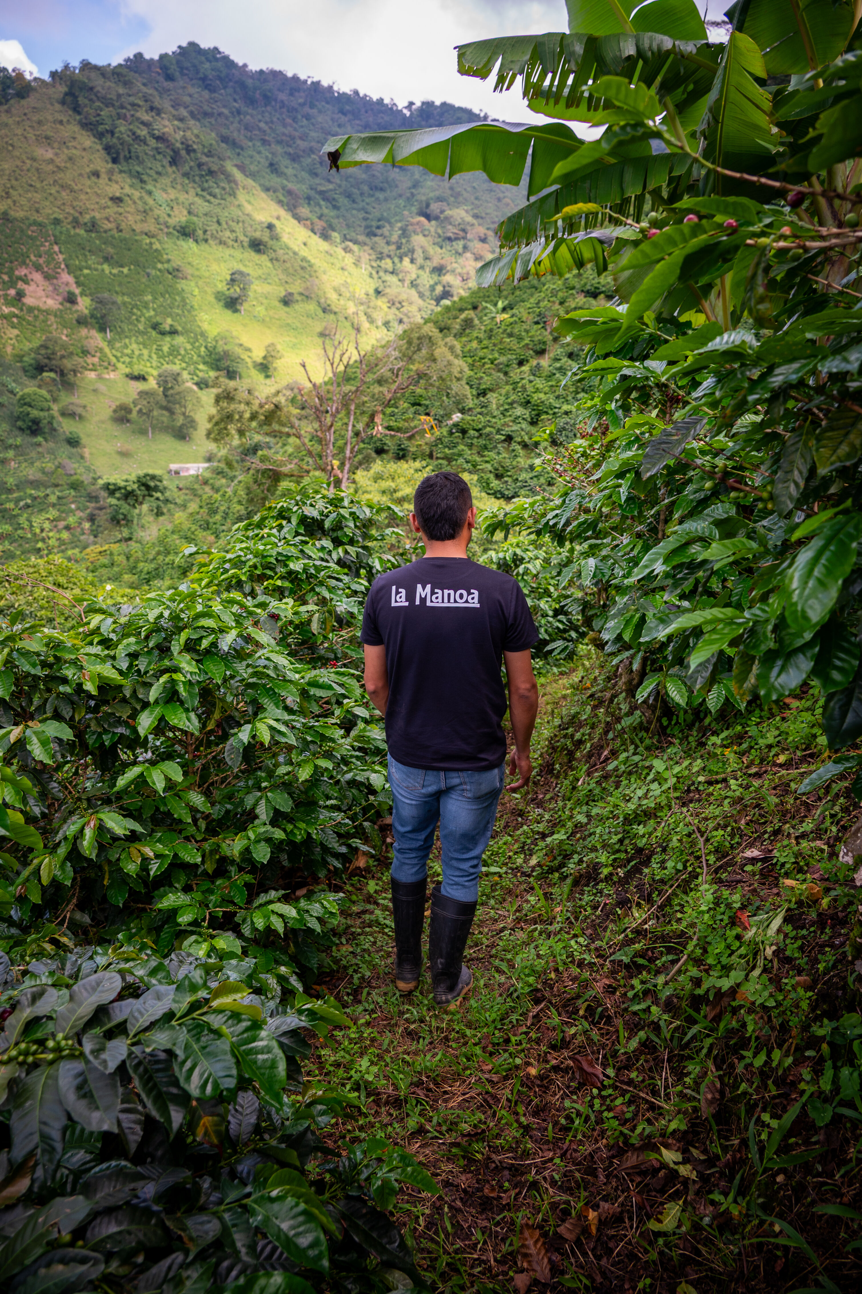 La Manoa