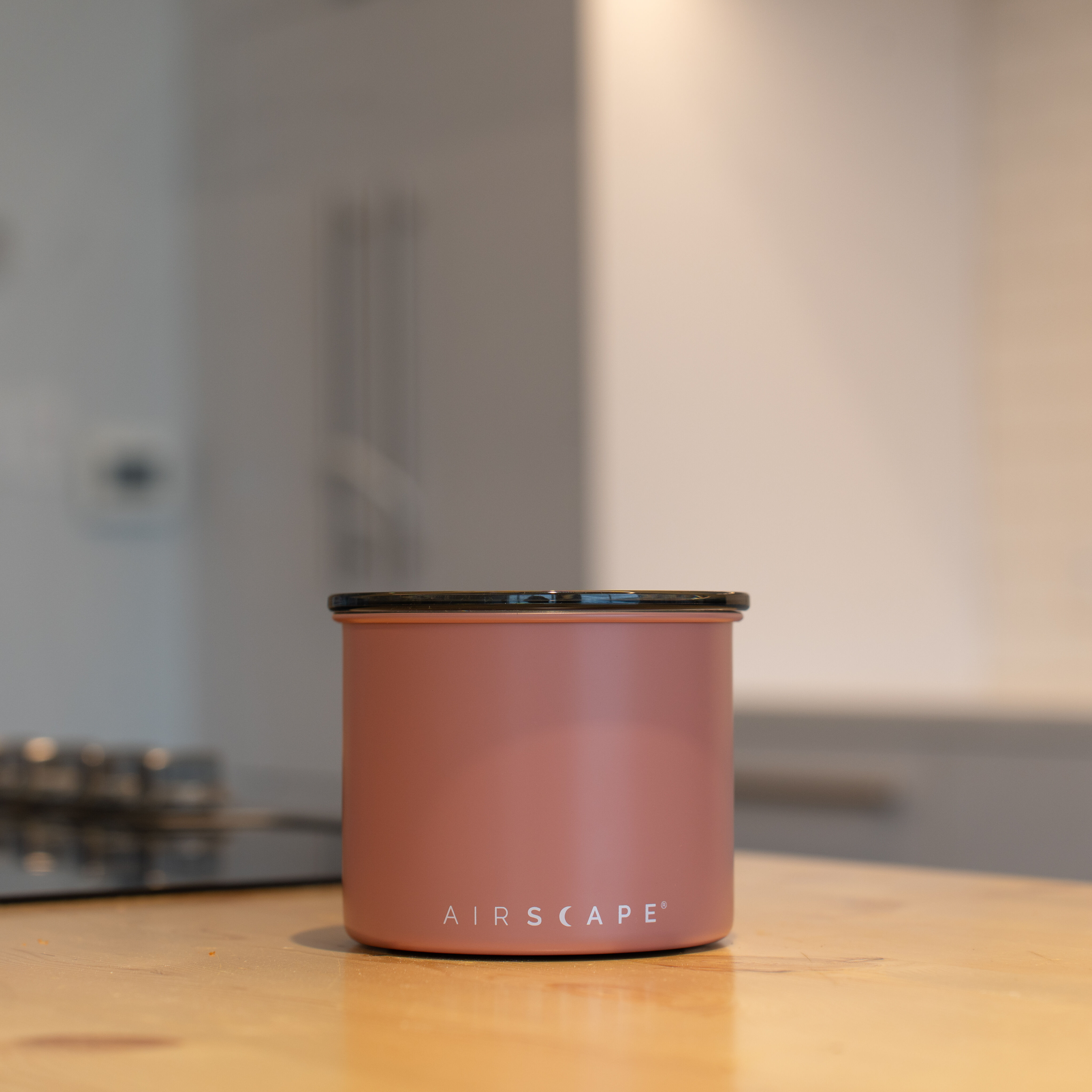 Metal storage canister