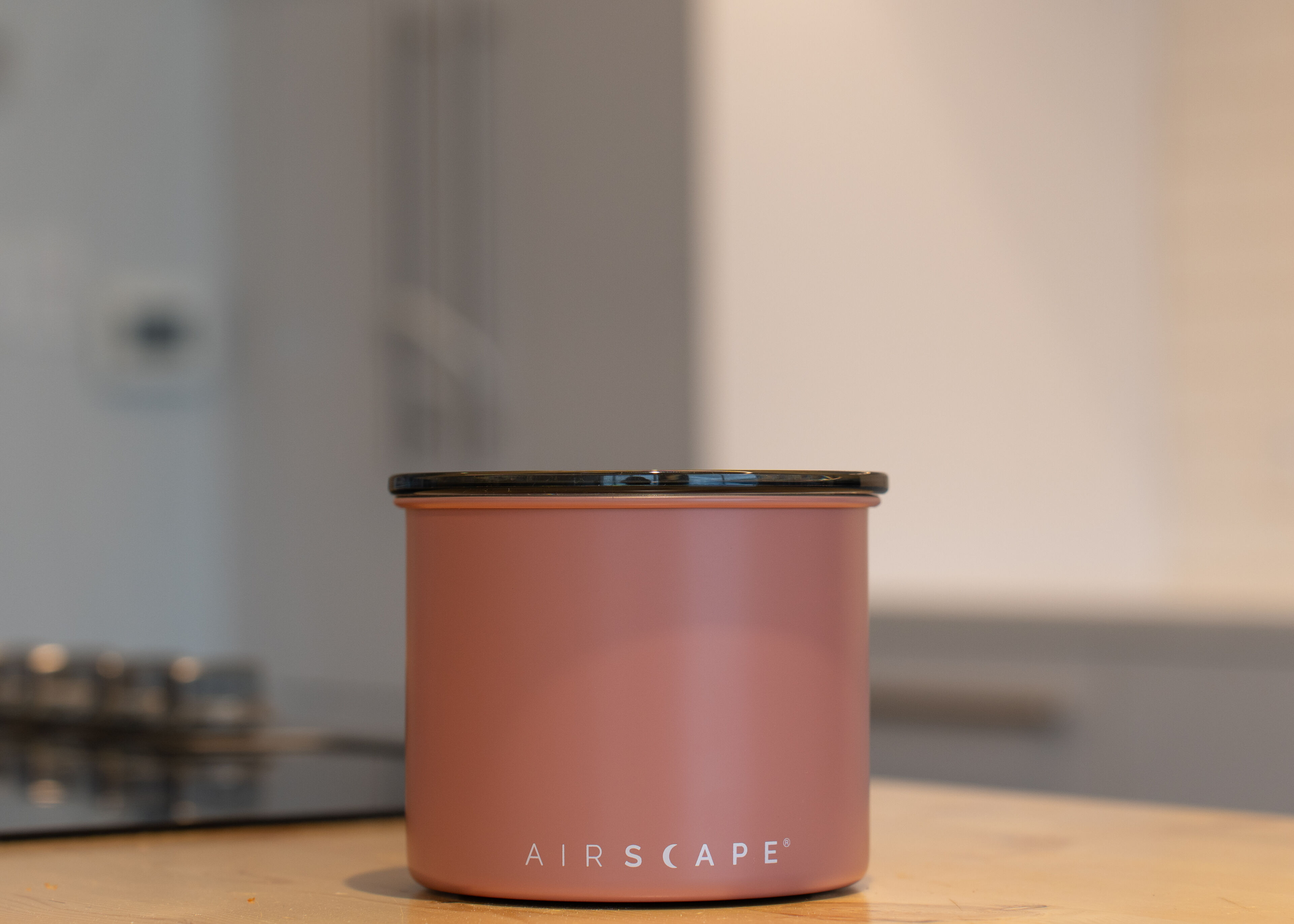 Metal storage canister