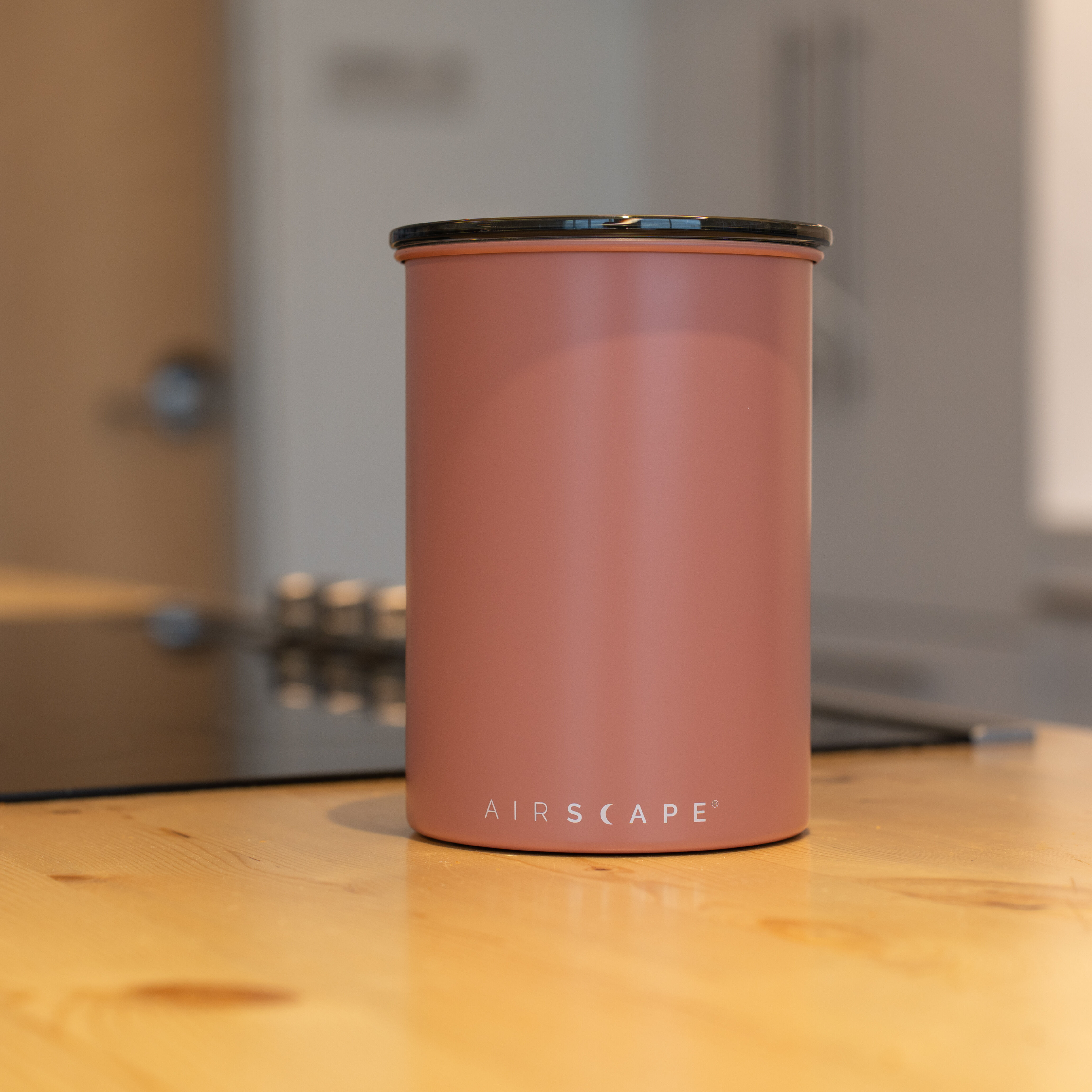 Metal storage canister