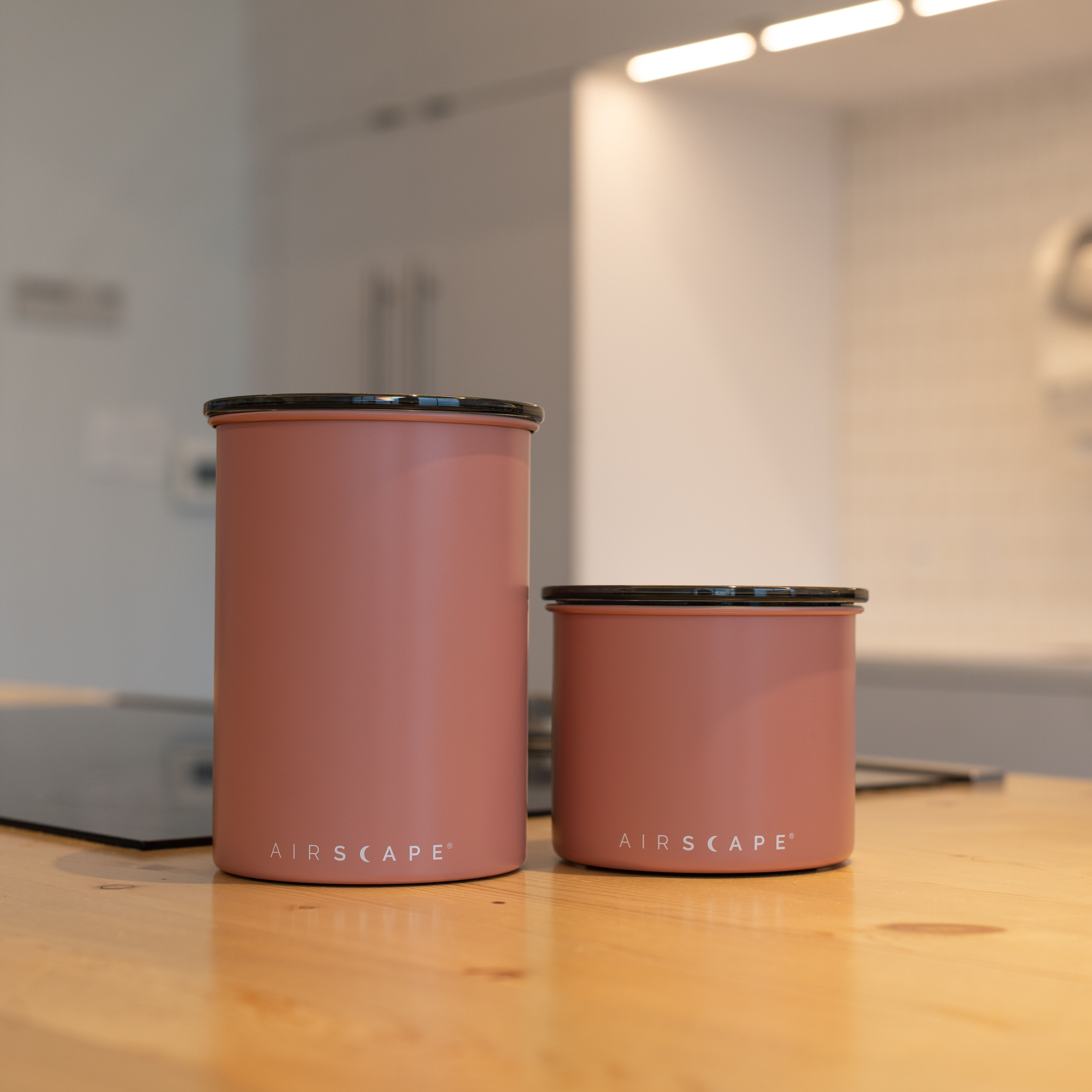 Metal storage canister