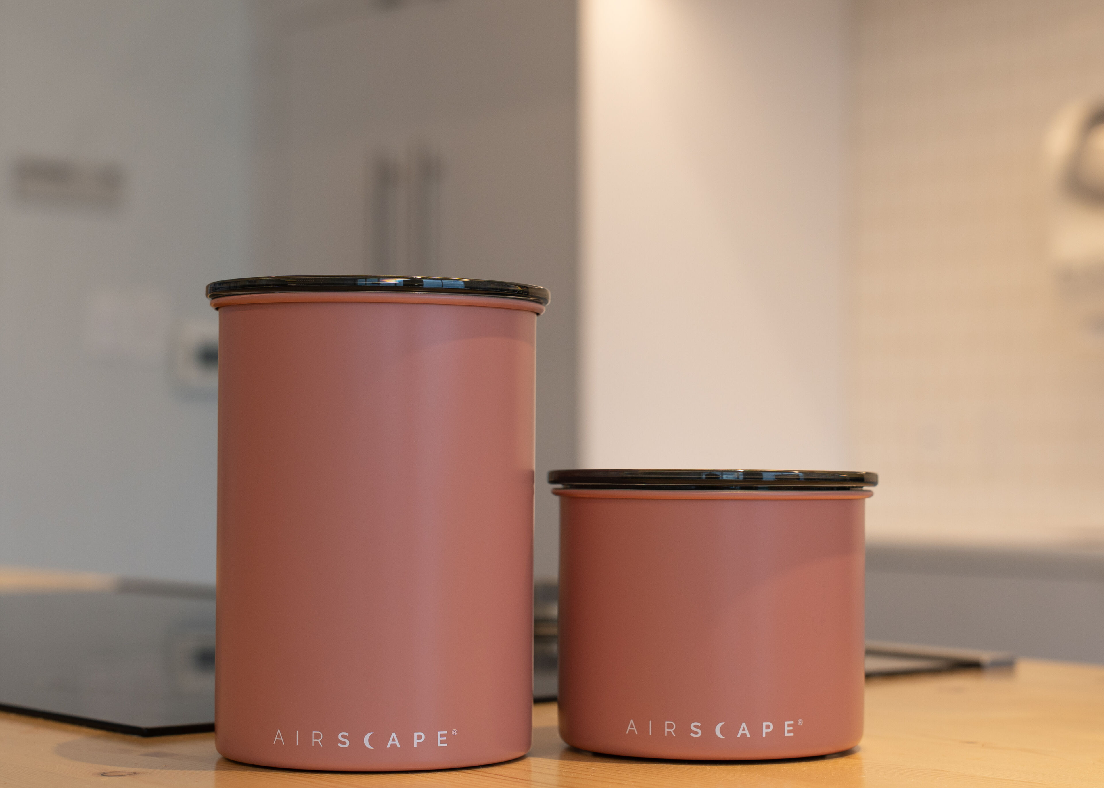 Metal storage canister