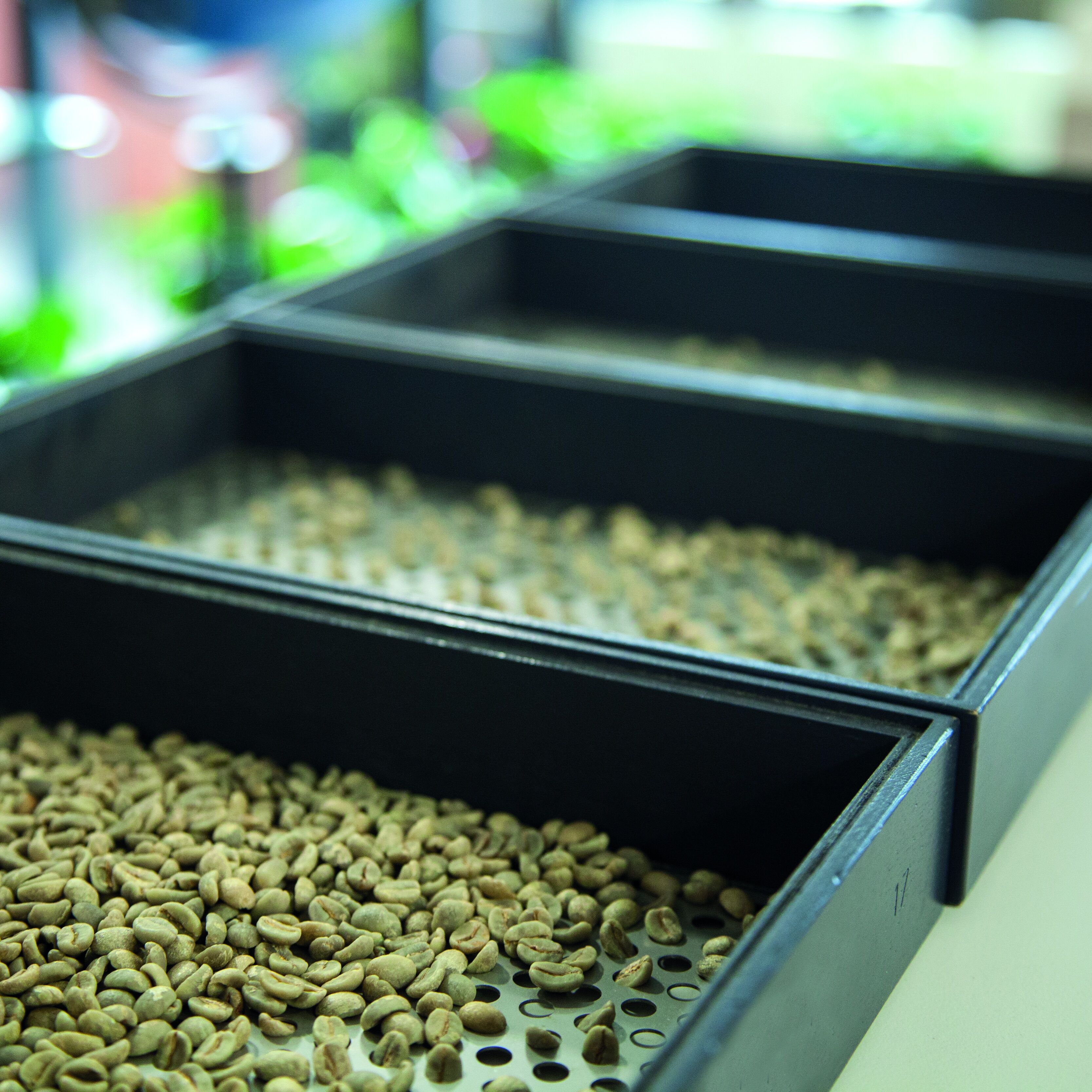 COFFEE SCREEN SET AMB