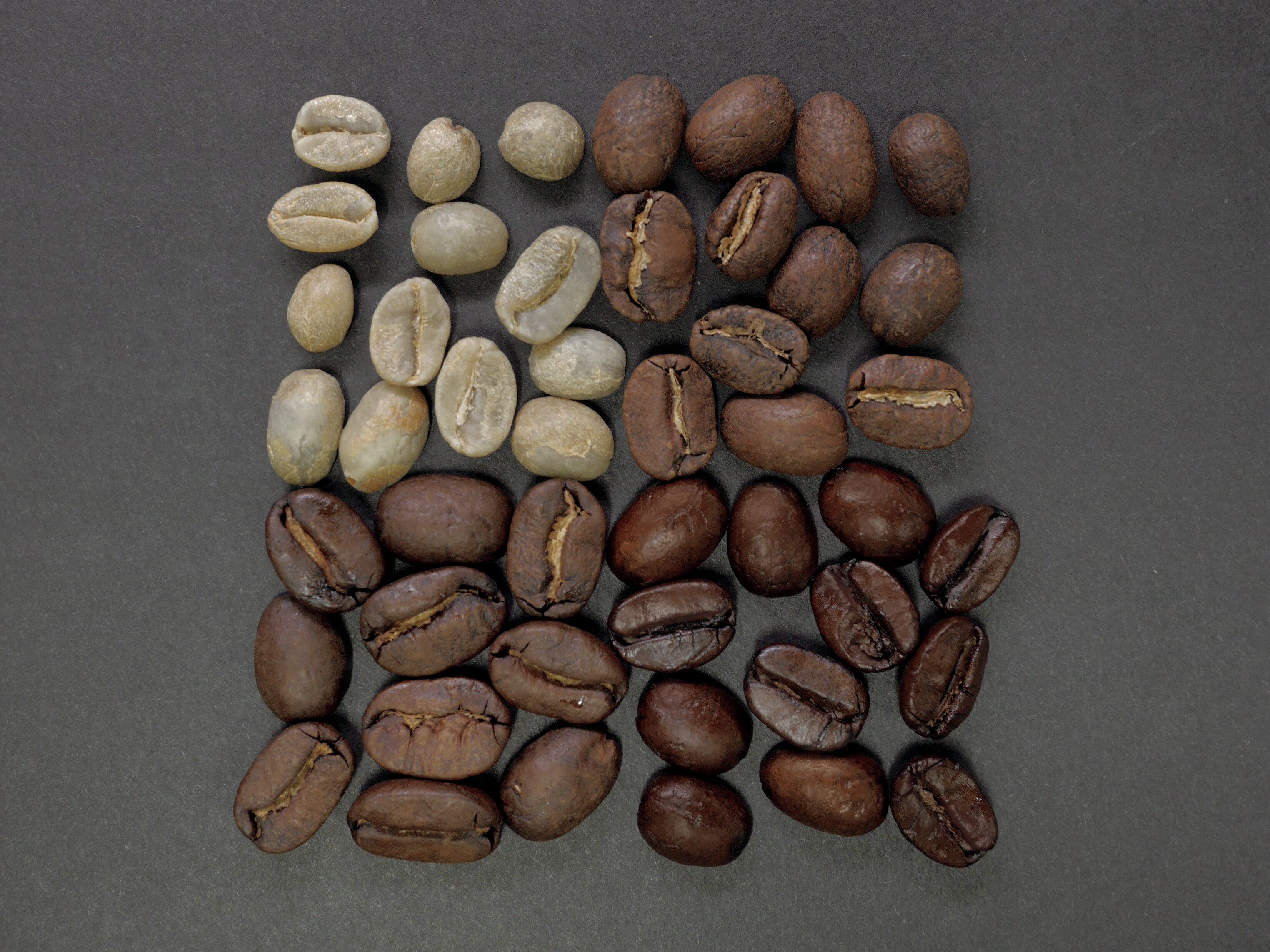 Coffee roaster colorimeter CM200