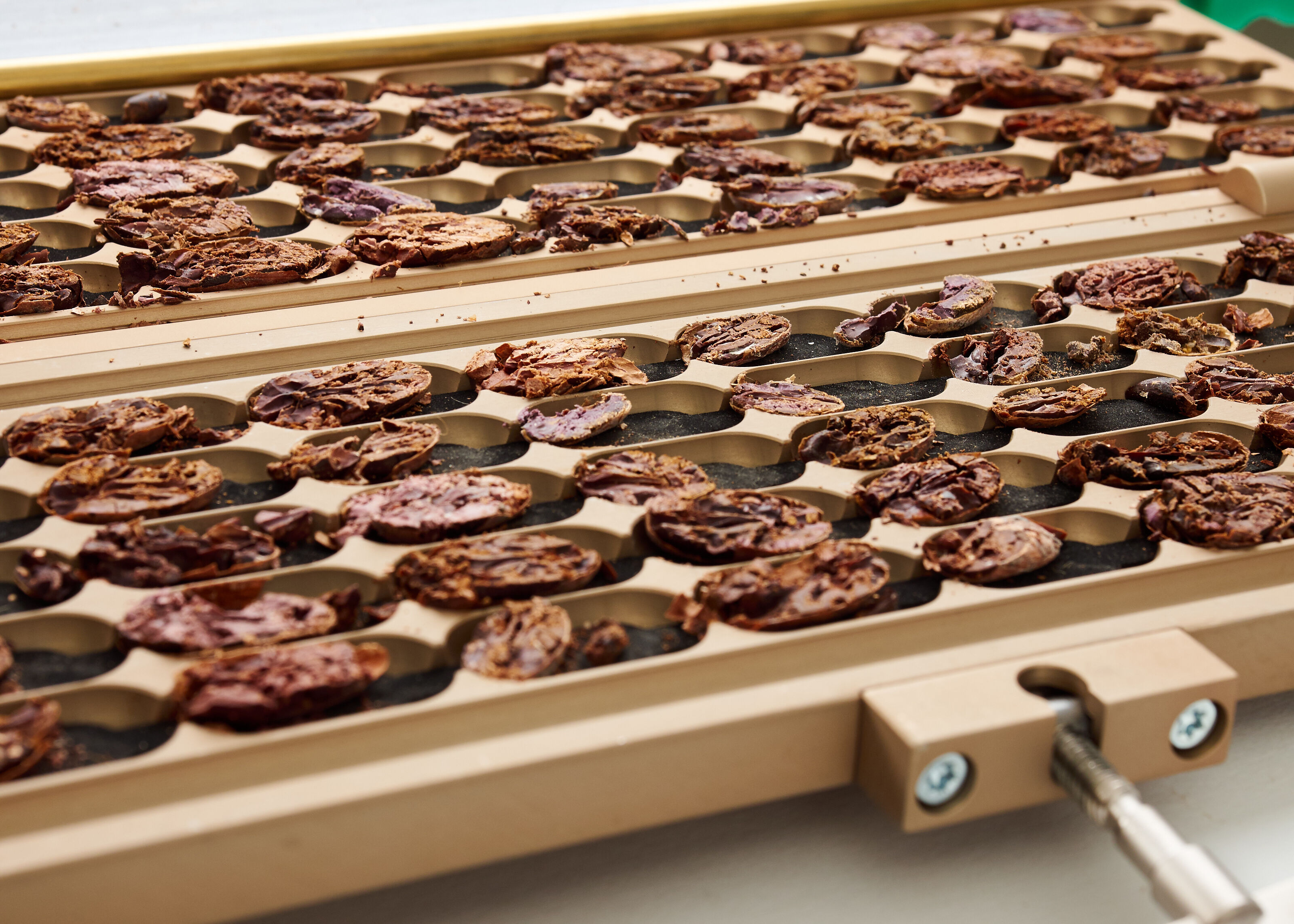 Cacao cut tester