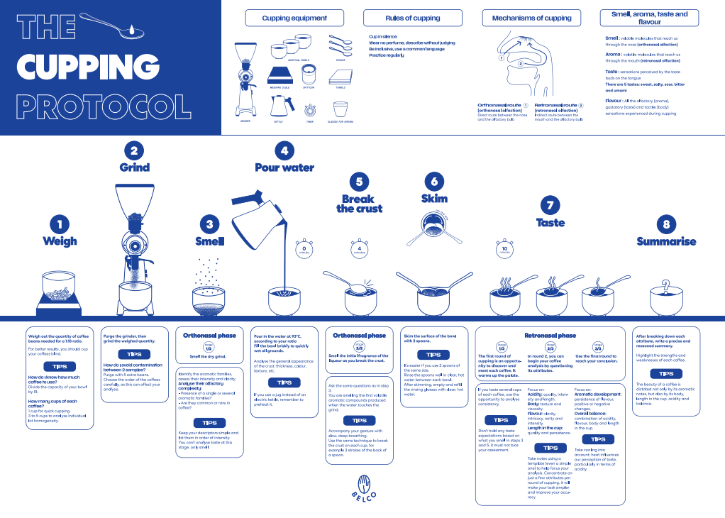 Cupping poster (english)