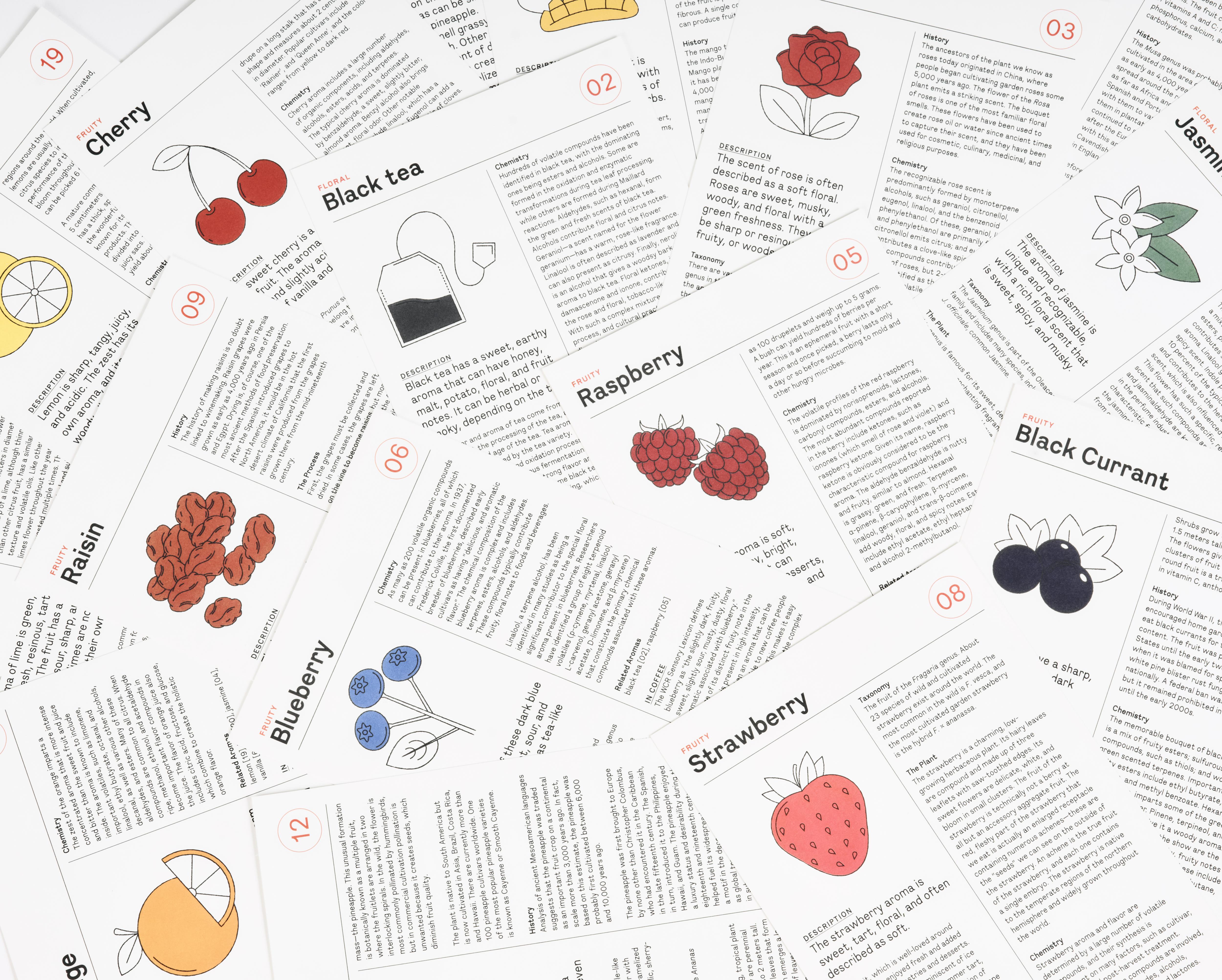 Coffret "Le nez du café" 60 arômes