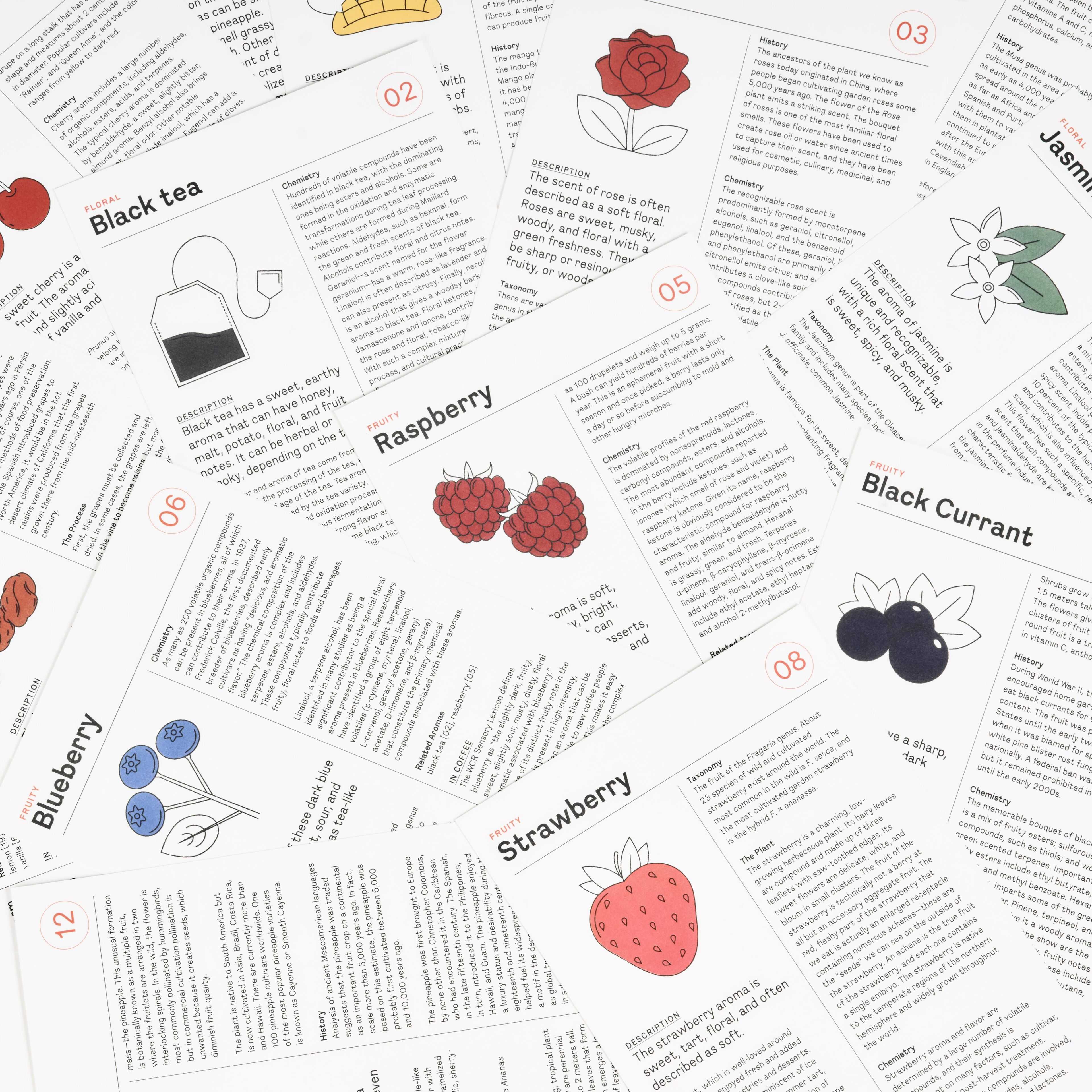 NEZCAFE60REN+%287%29