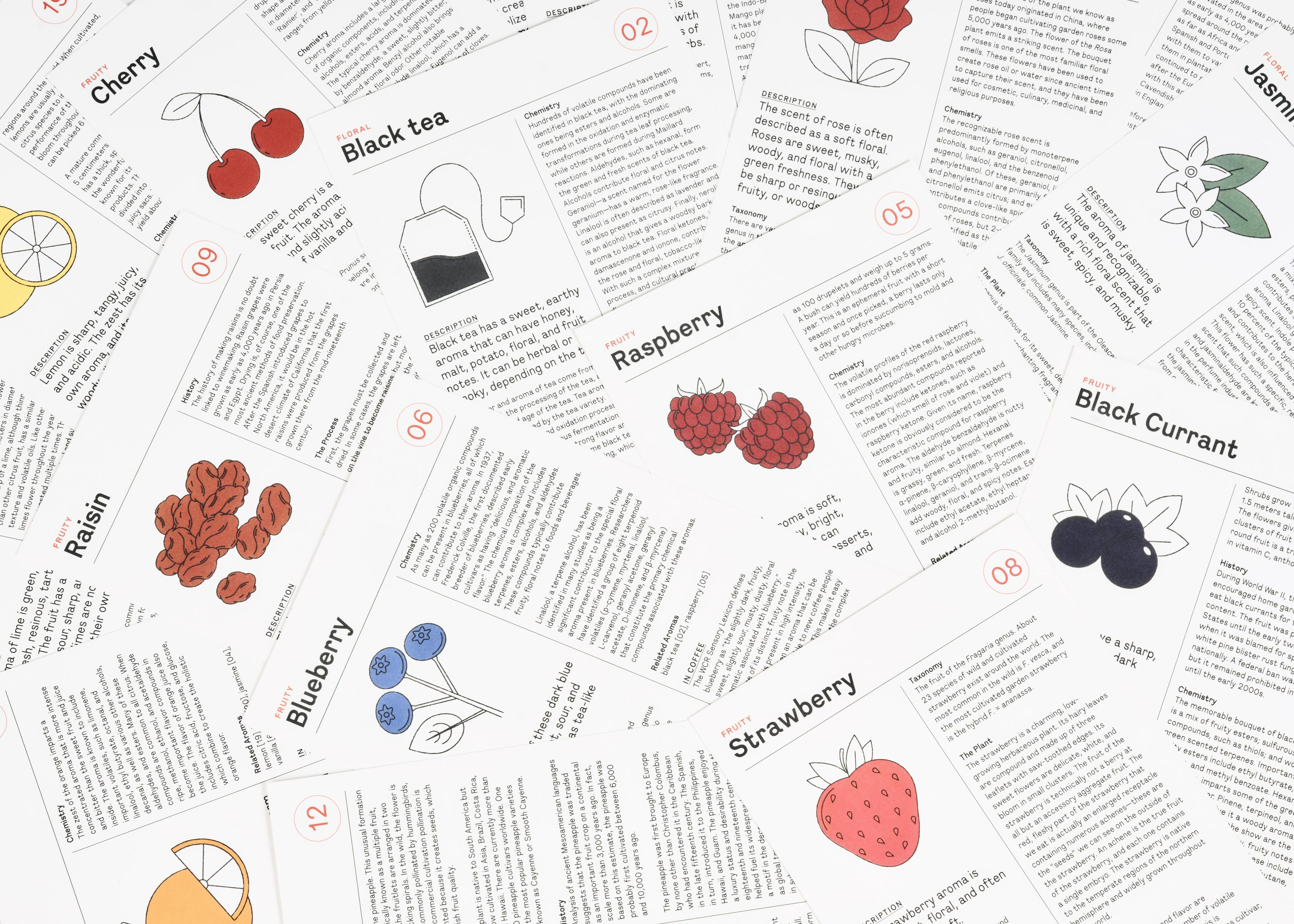 Coffret "Le nez du café" 60 arômes