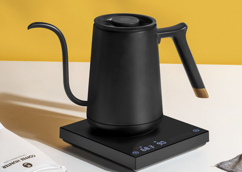 Bouilloire Fish Smart