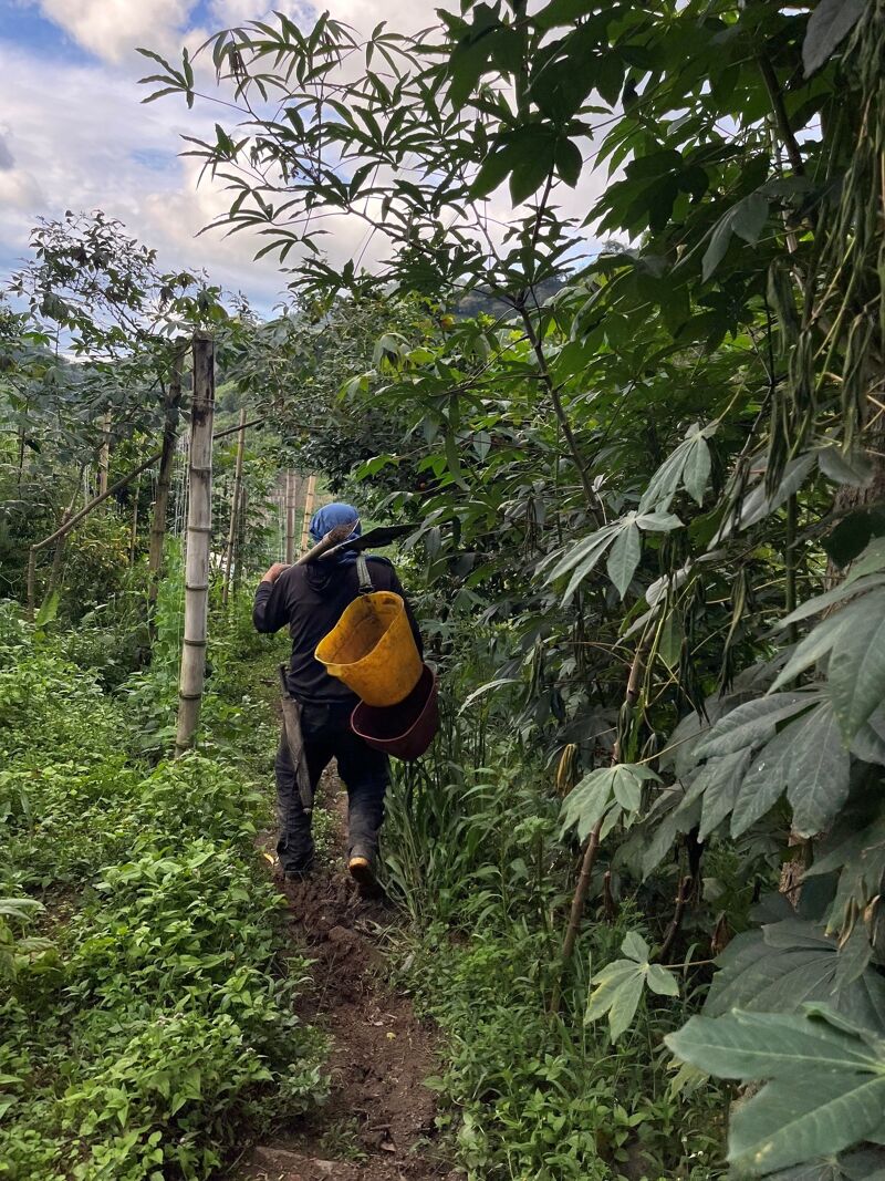 La Manoa
