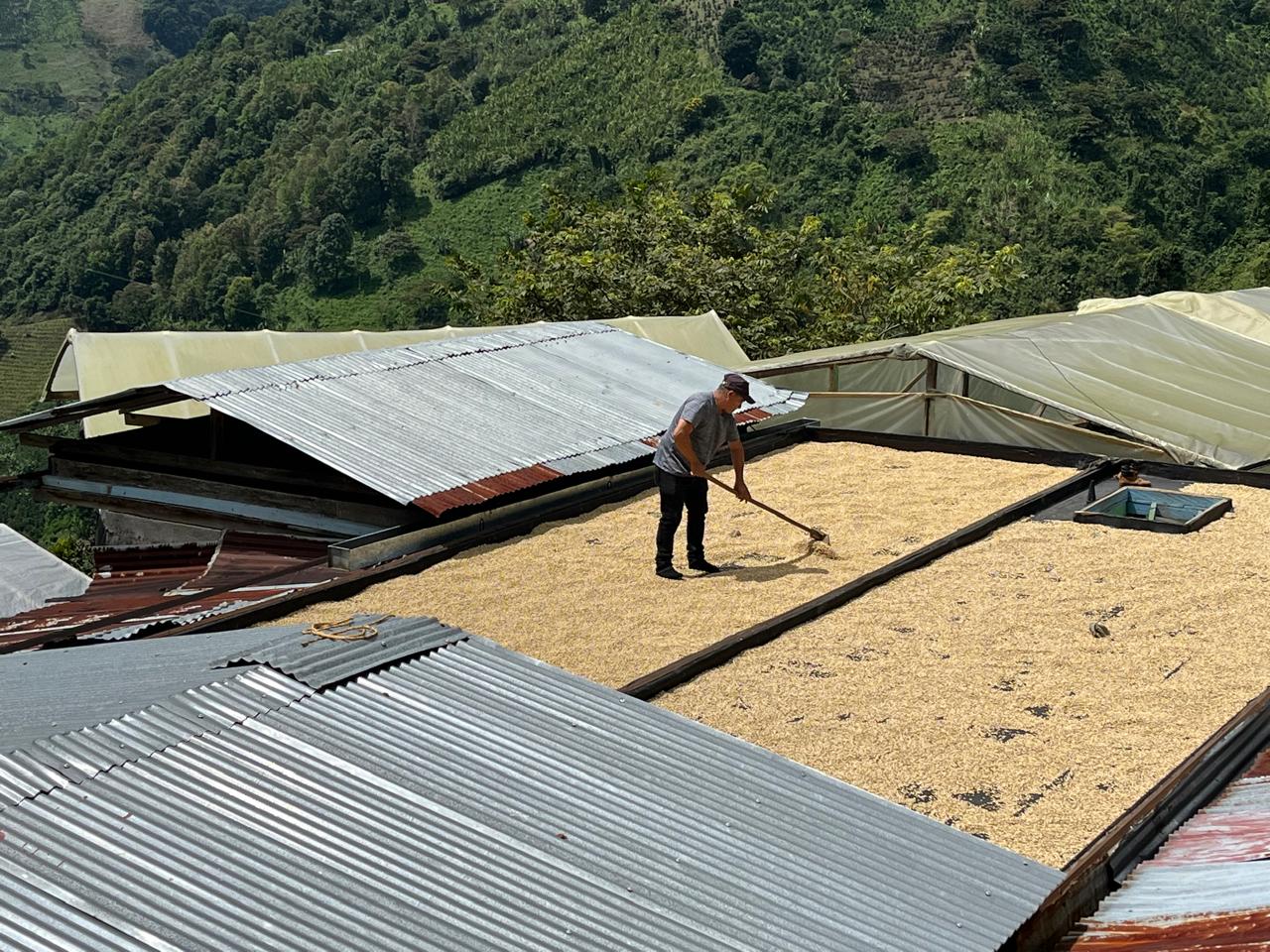 La Manoa