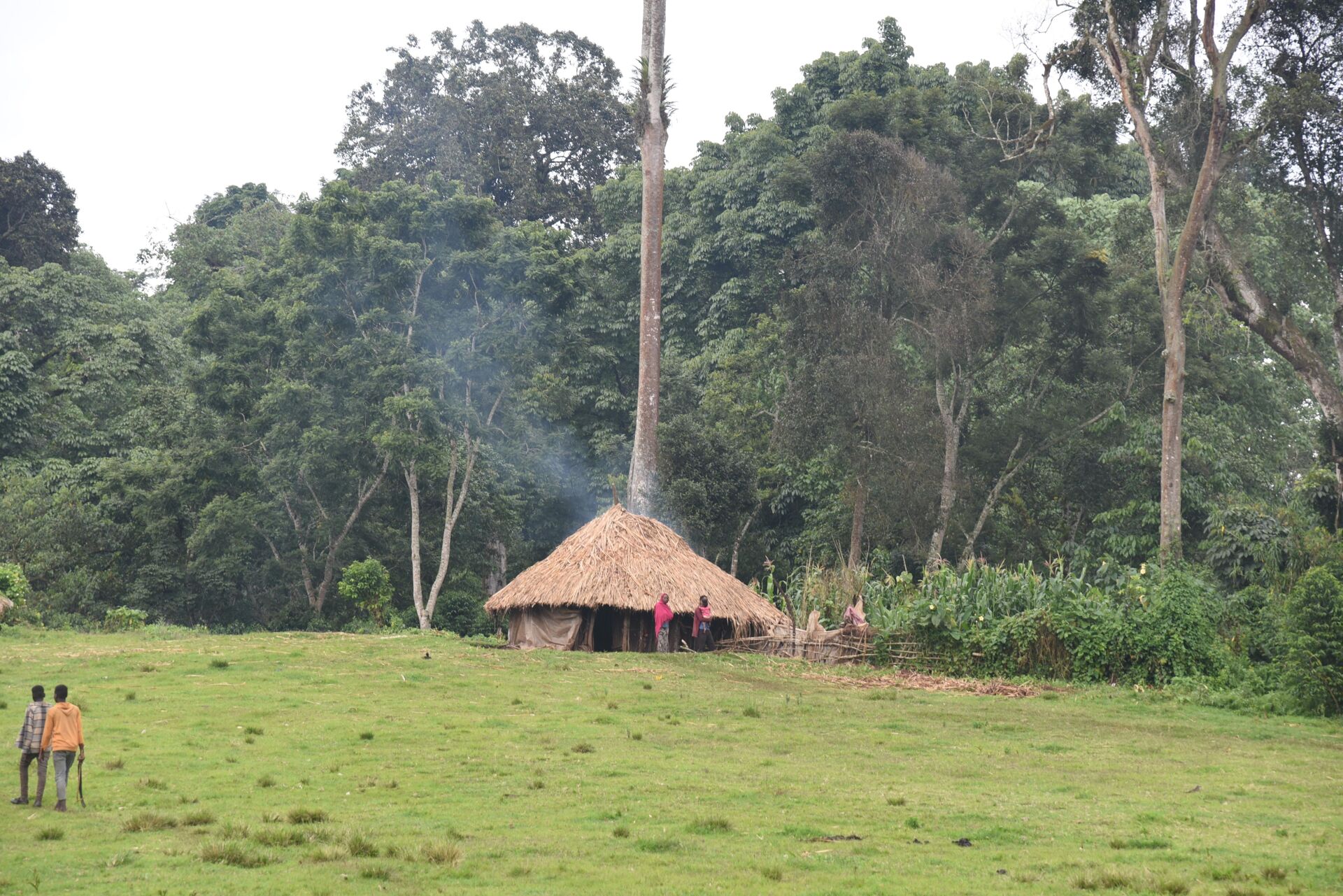 Gundira Shela