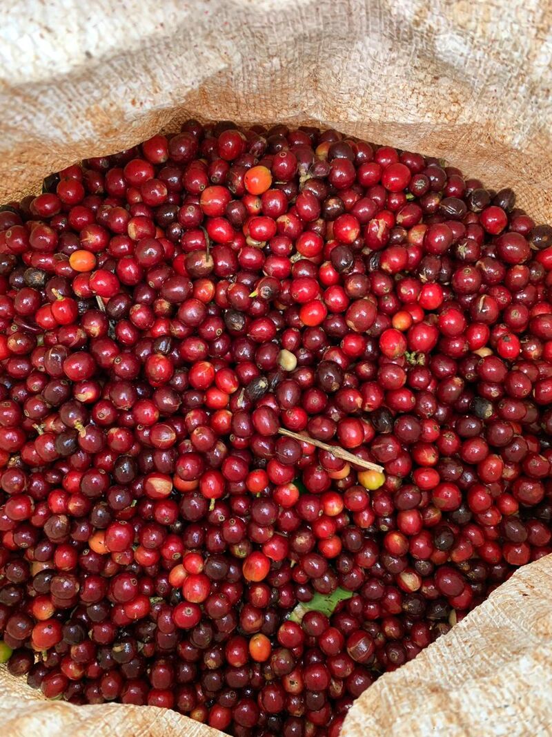 Marcala