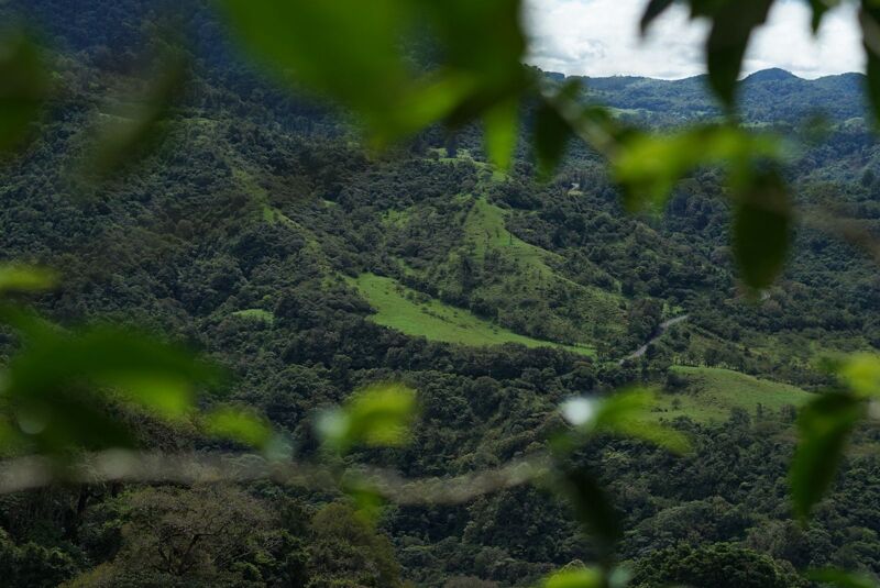 Baru Black Mountain