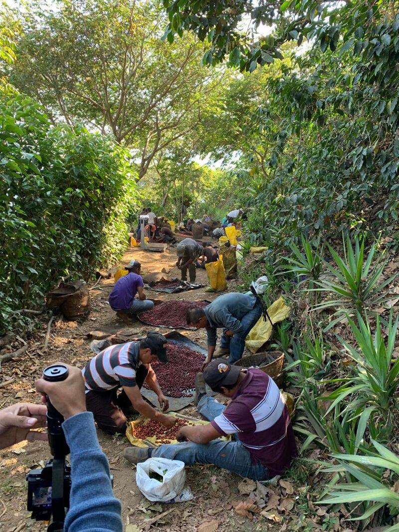 Finca San José