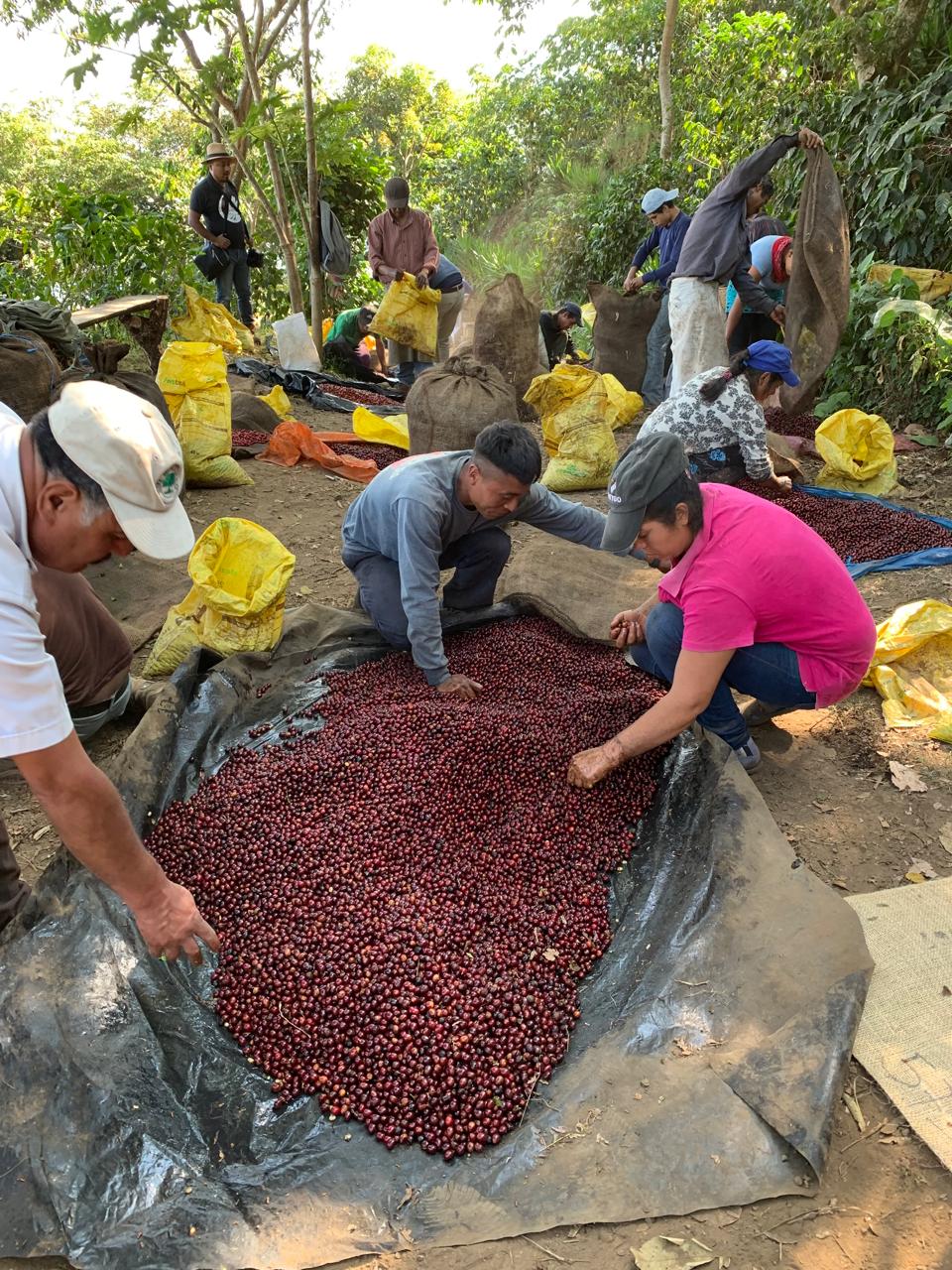 Finca San José