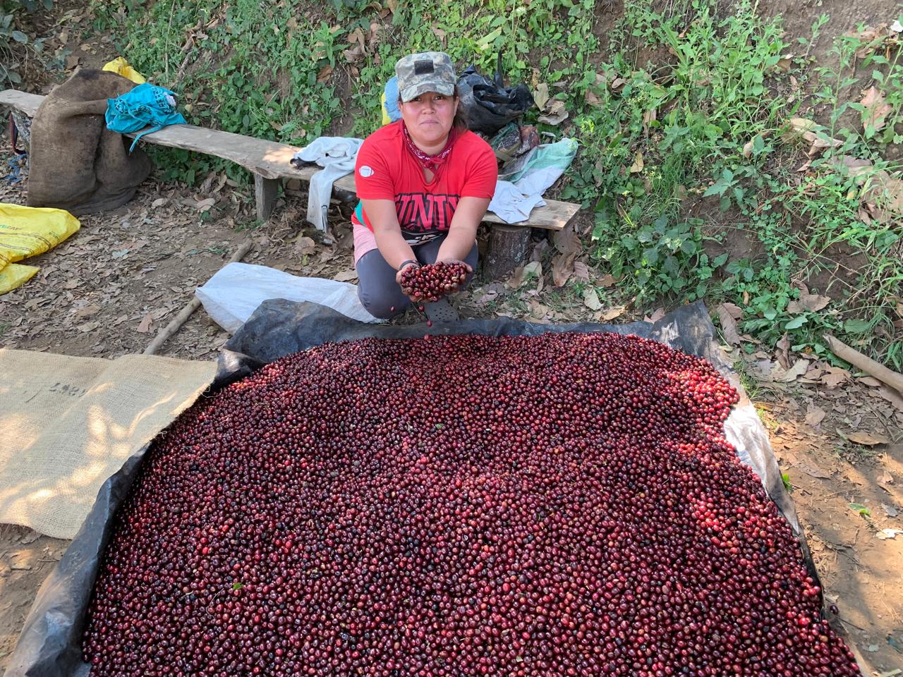 Finca San José