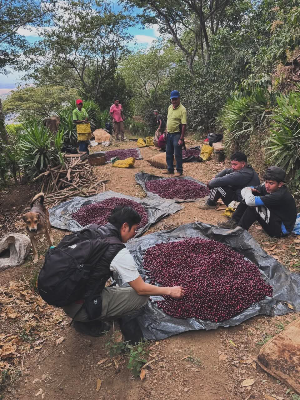 Finca San José