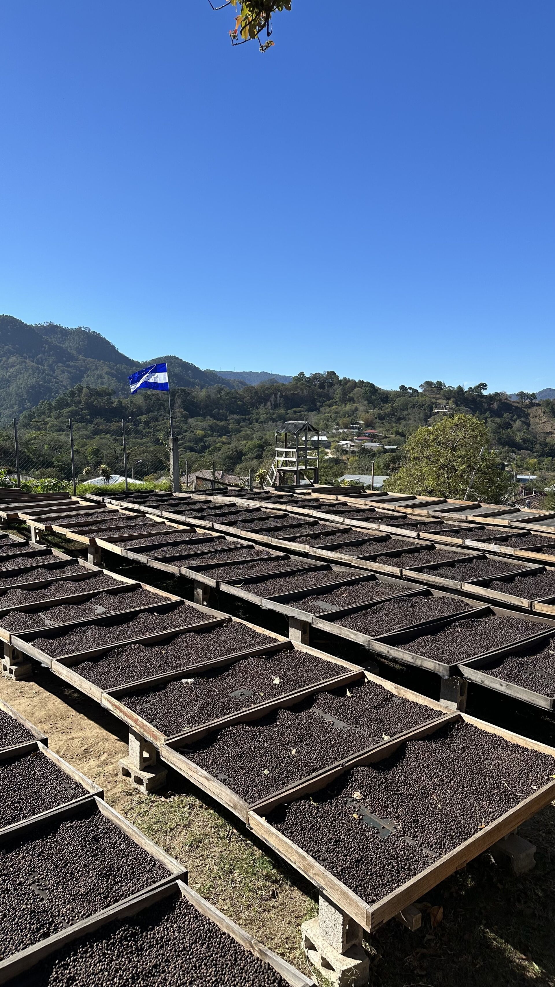 LENCA Ocotepeque