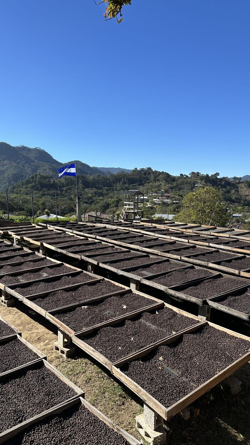 LENCA Ocotepeque