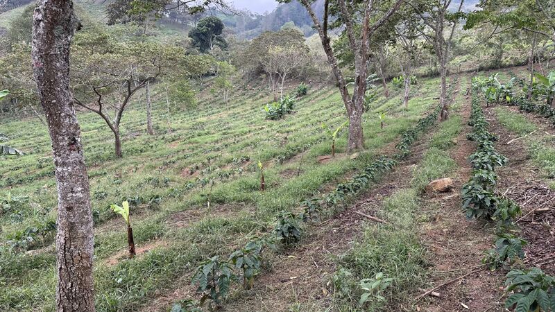 LENCA Ocotepeque