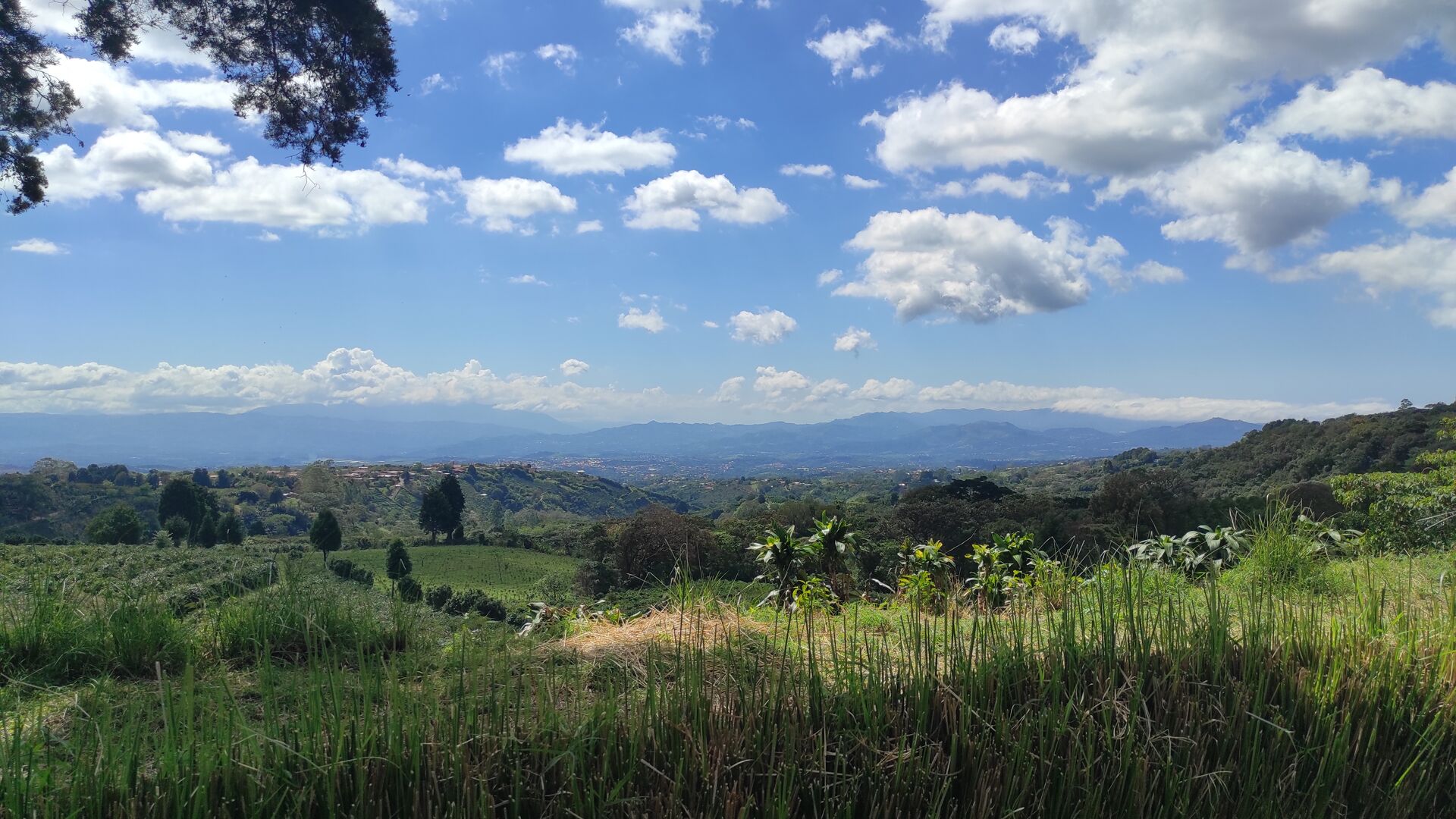 Hacienda Colima - Alejo Castro