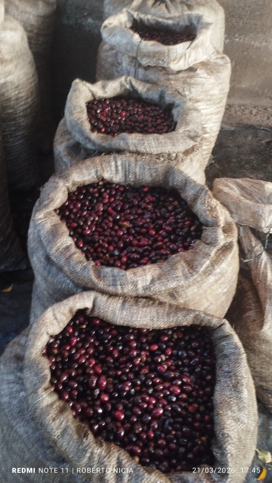 Finca Himalaya