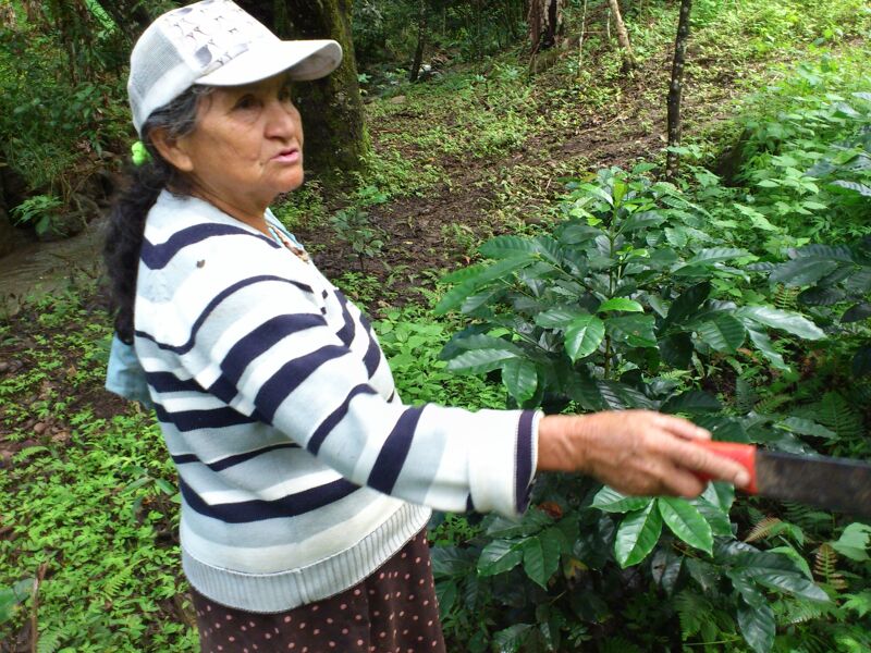 La Chacana