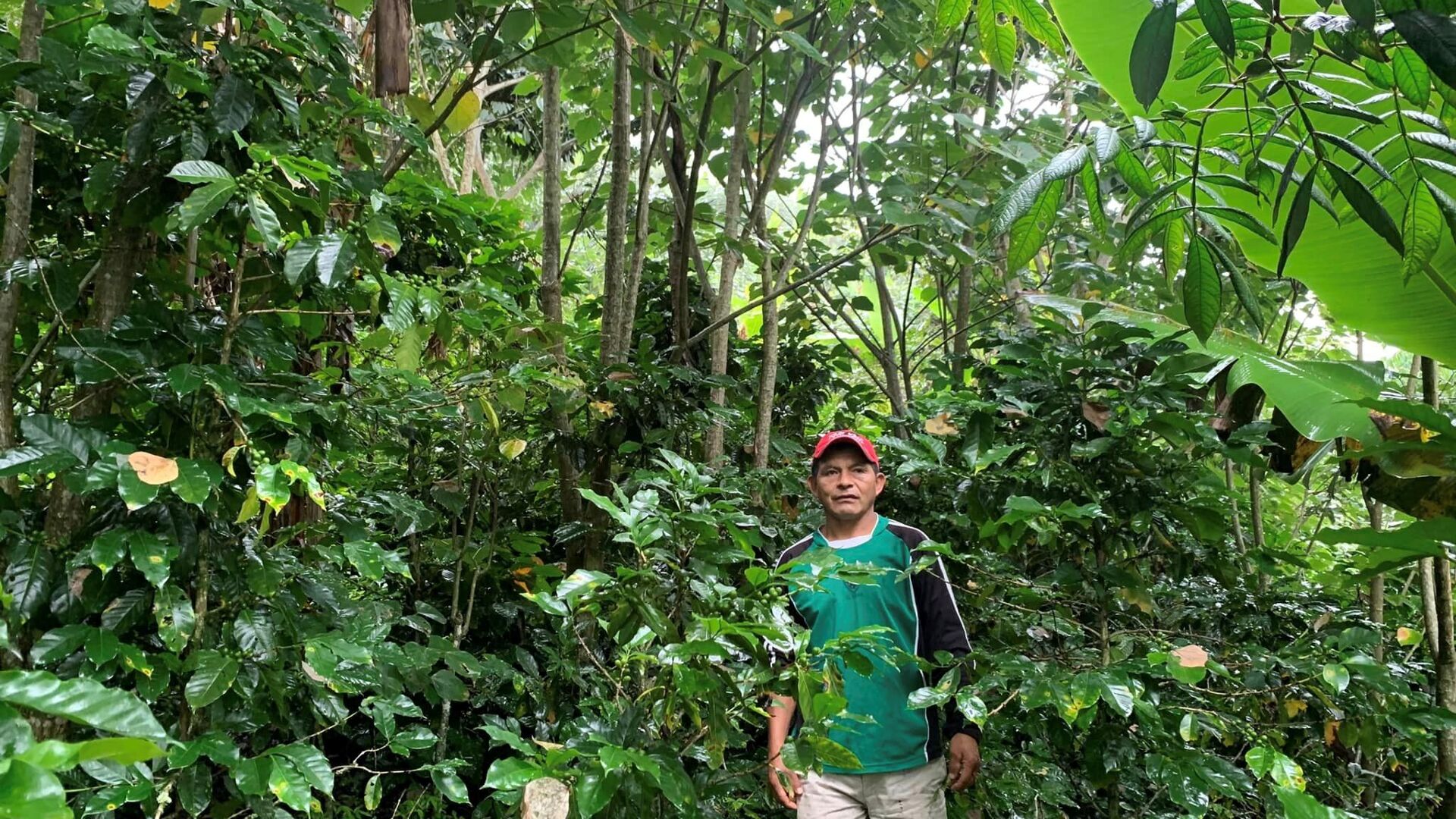 La Chacana