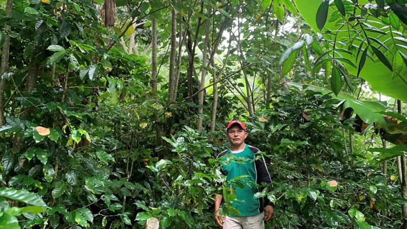 La Chacana