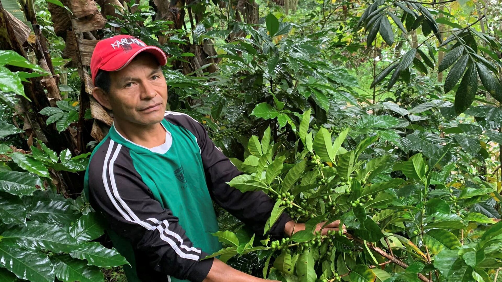 La Chacana
