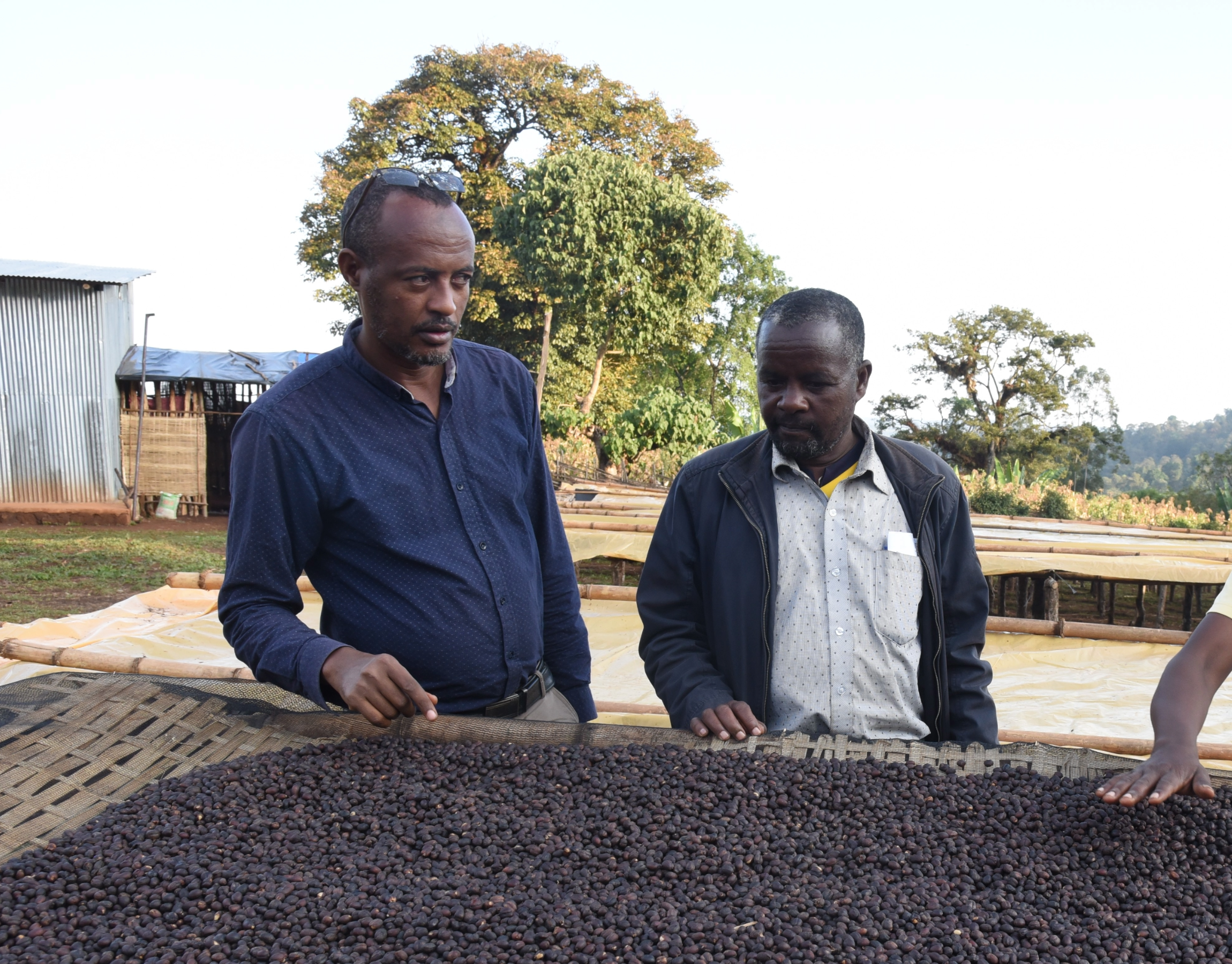 Photo of the producer