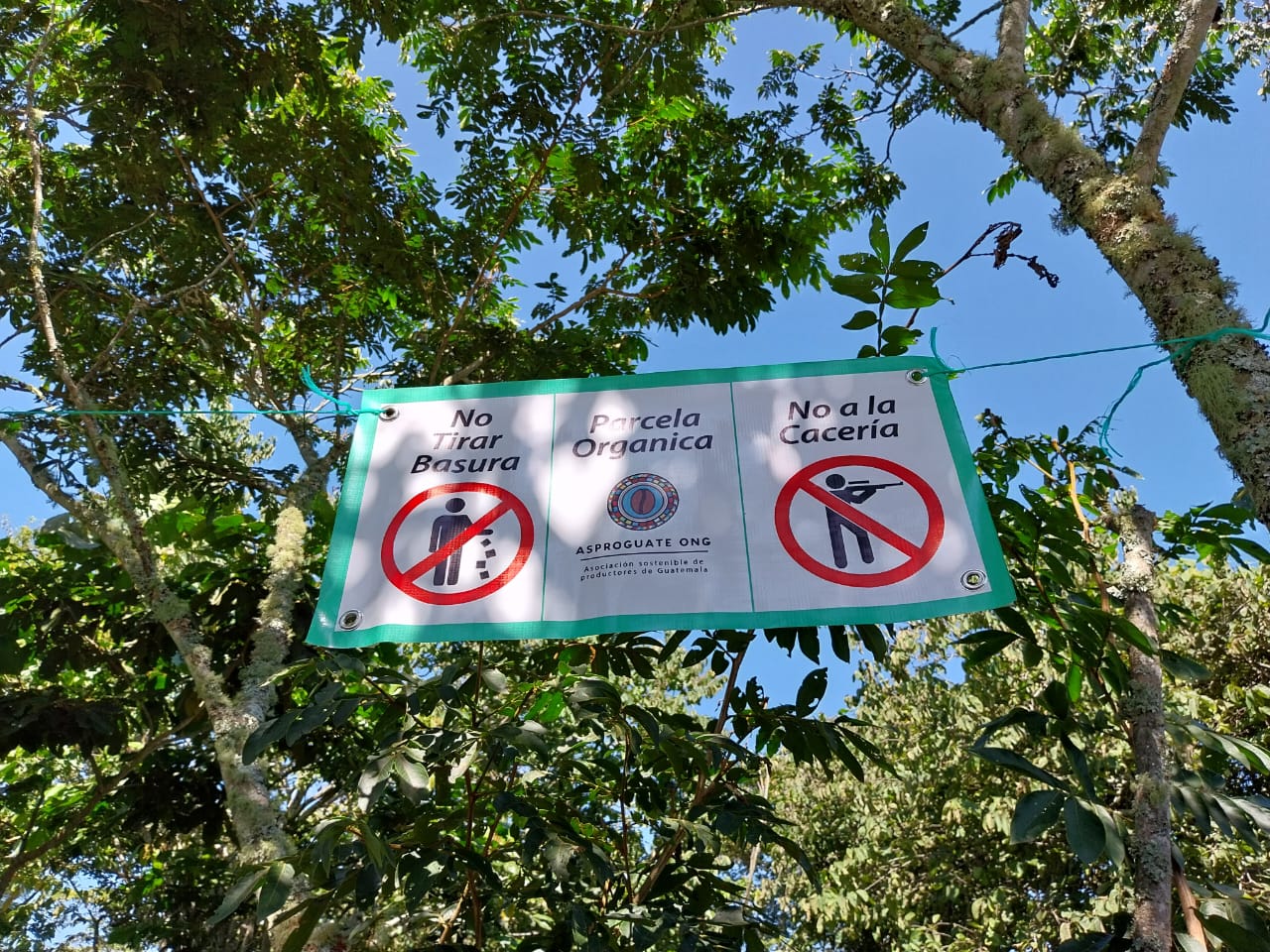 Tojtik