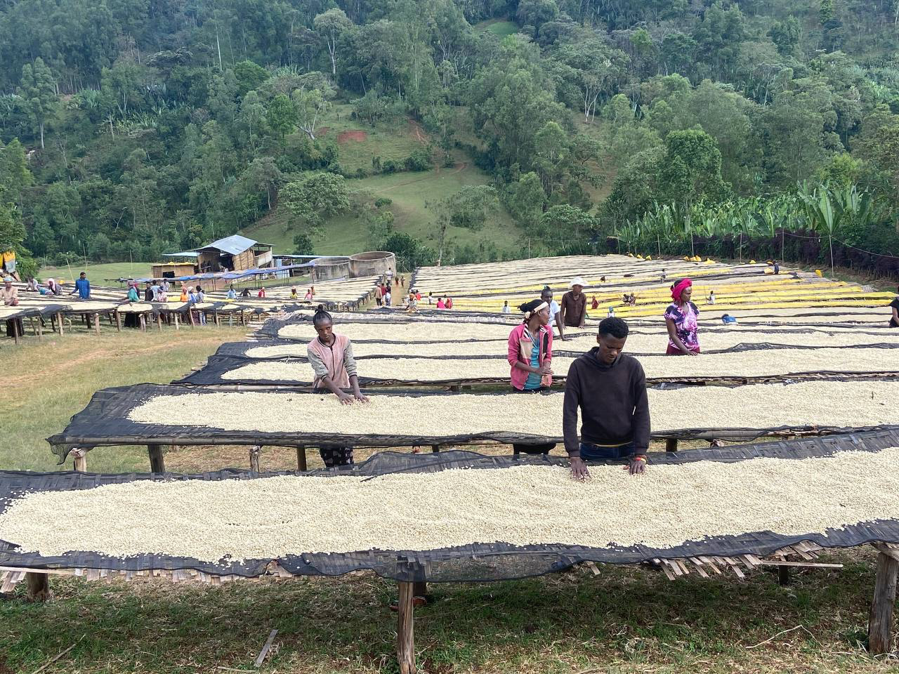 image00014.png