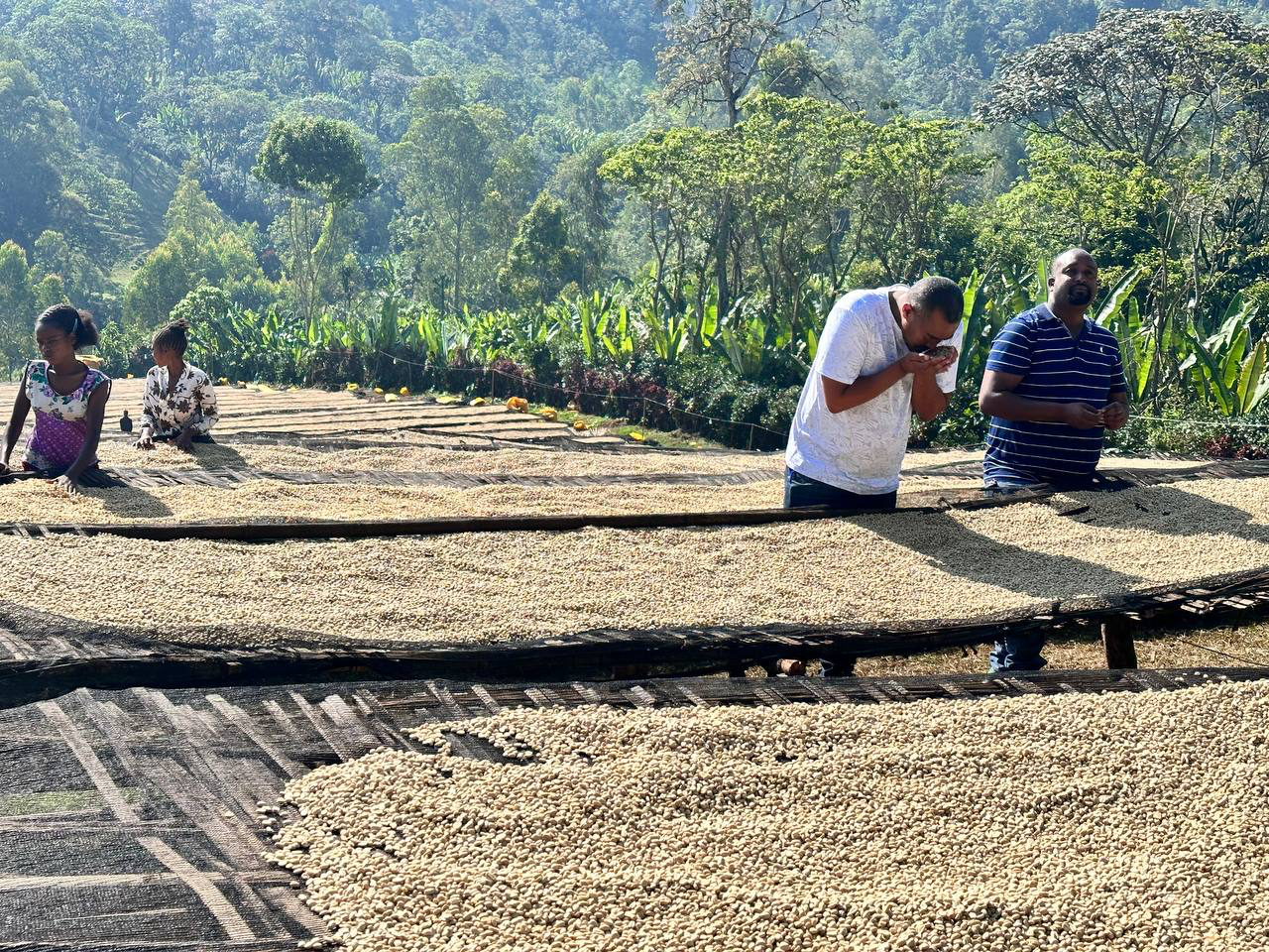 Foto des Produzenten