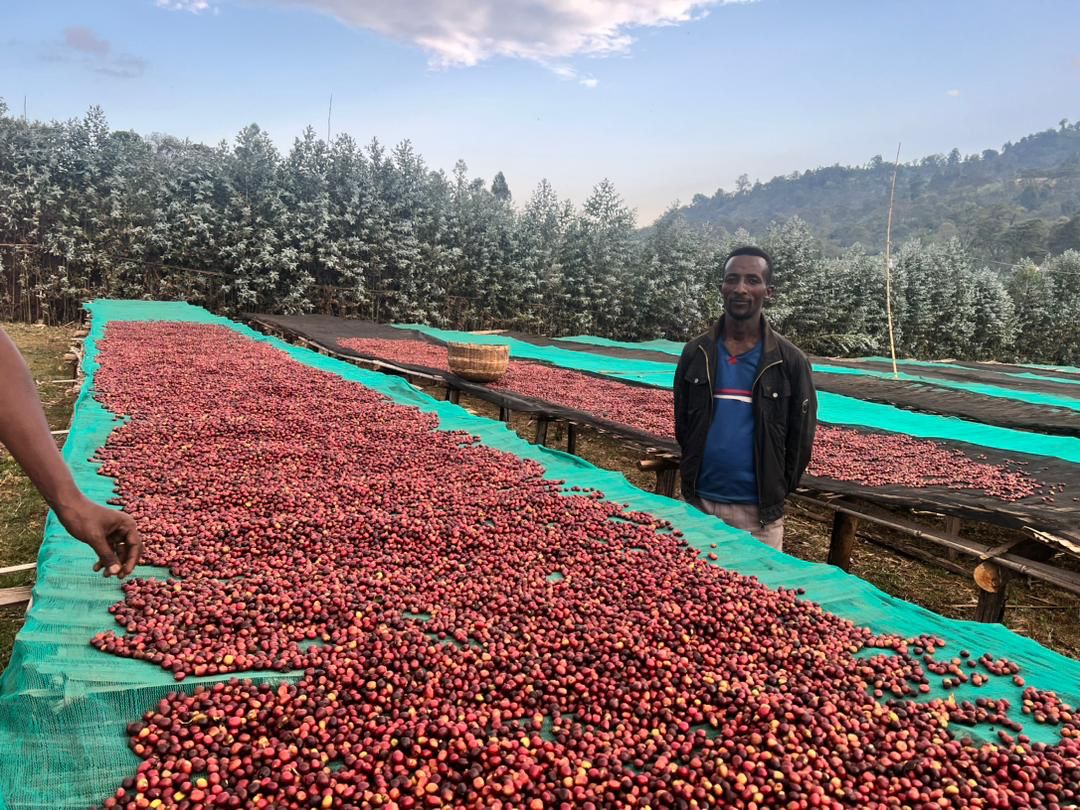 Jebena Sidama