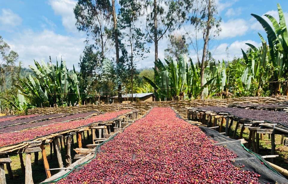Jebena Sidama
