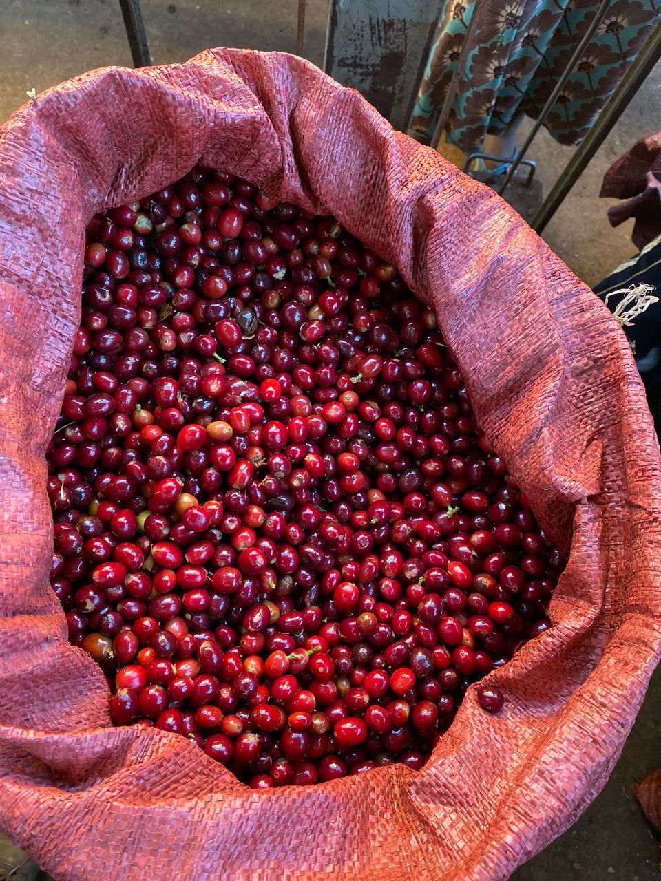 Jebena Sidama