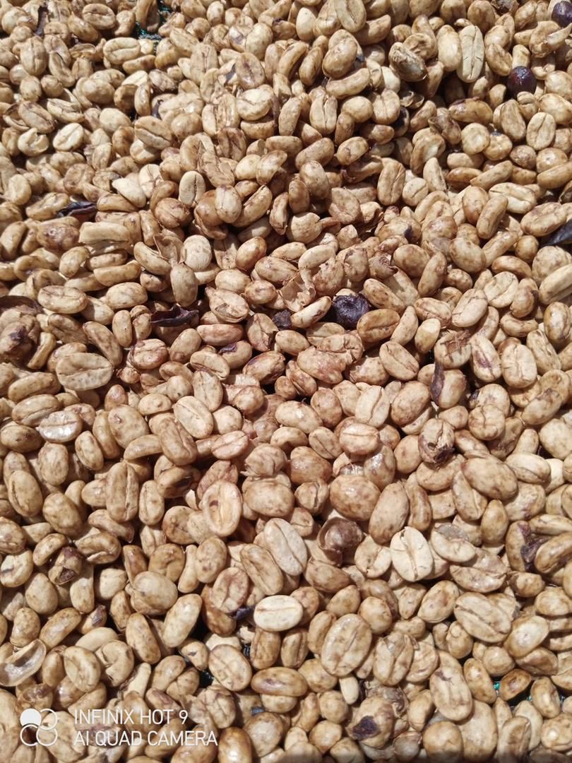 Jebena Sidama