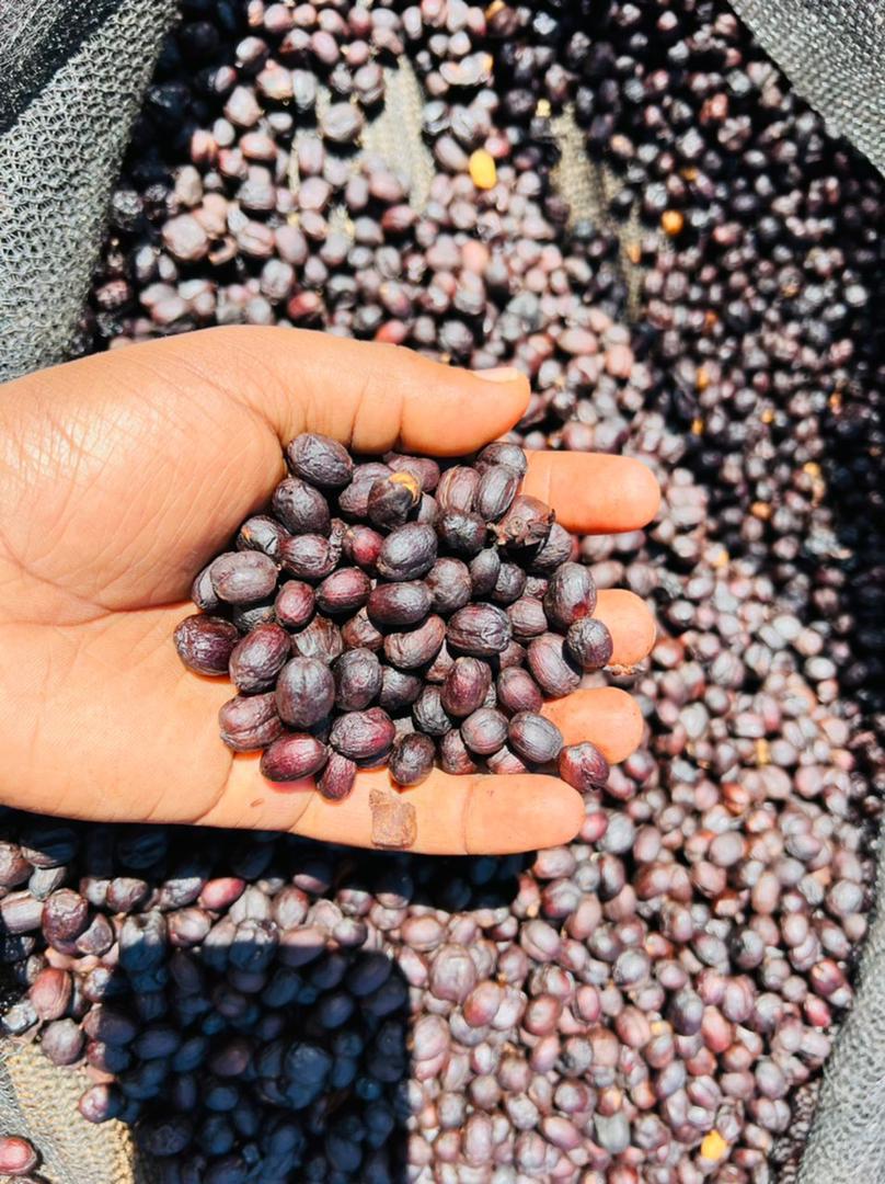 Jebena Sidama