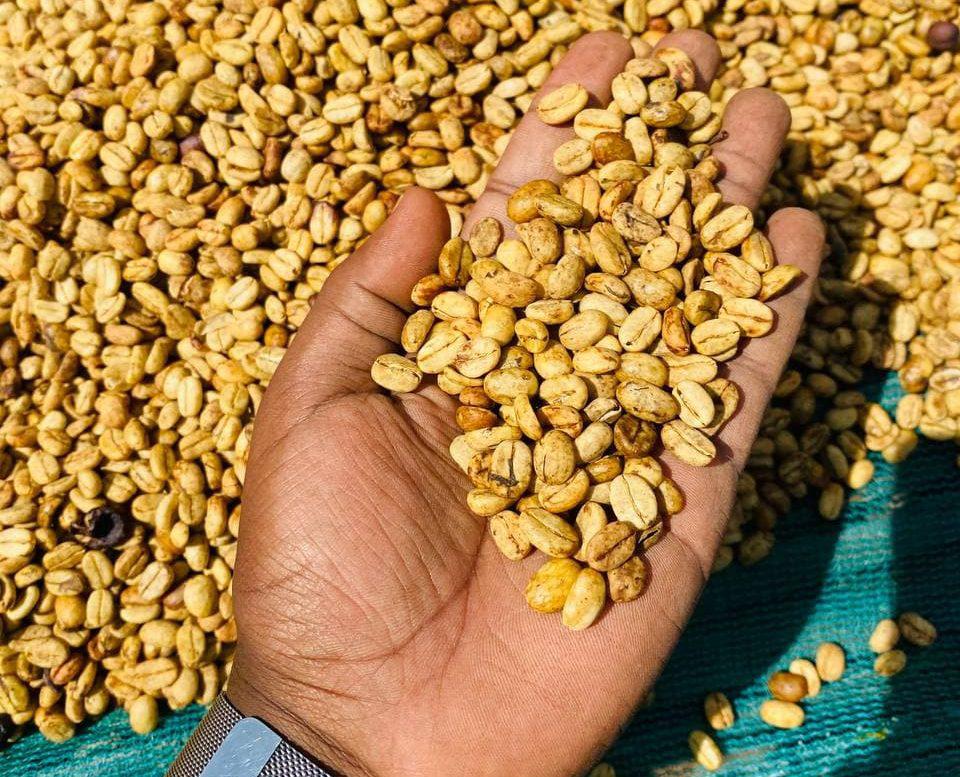 Jebena Sidama