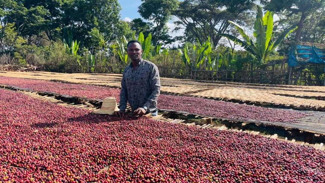 Jebena Sidama