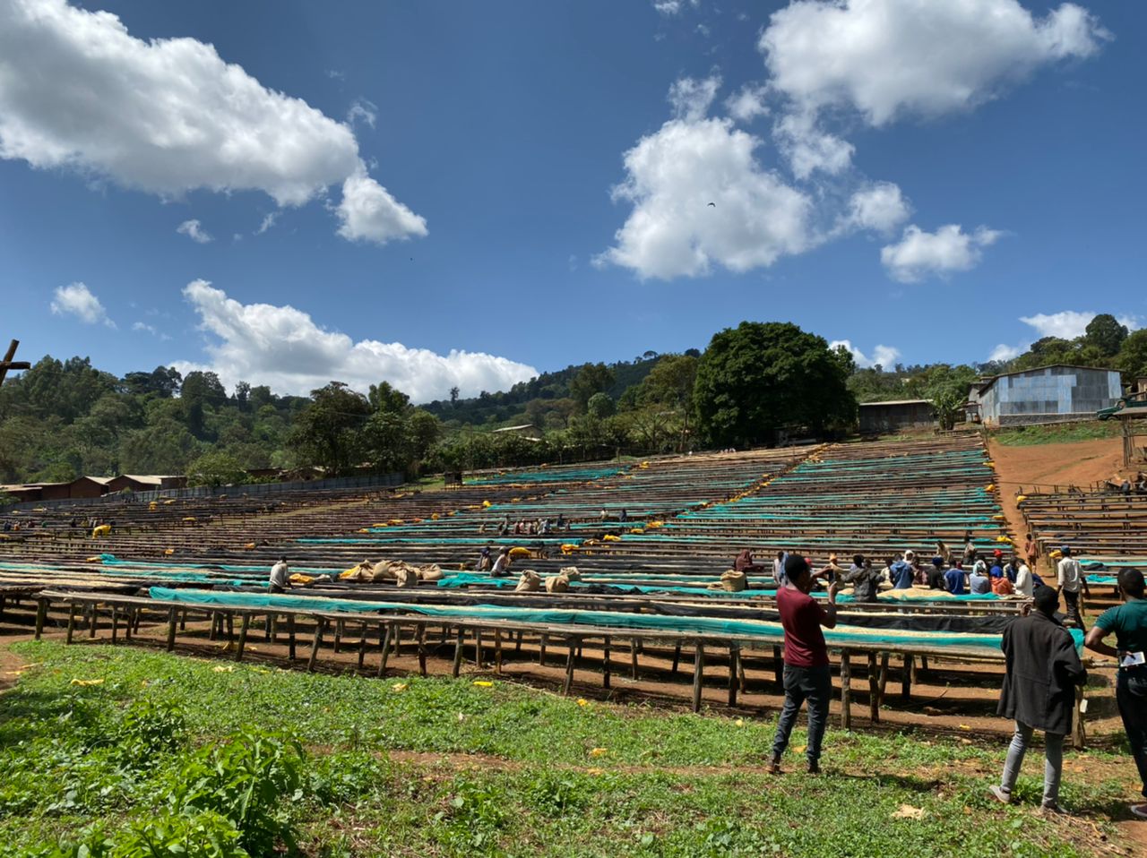 Jebena Sidama