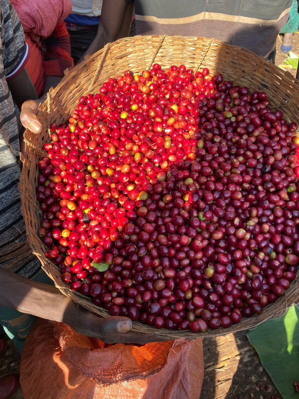 Jebena Sidama