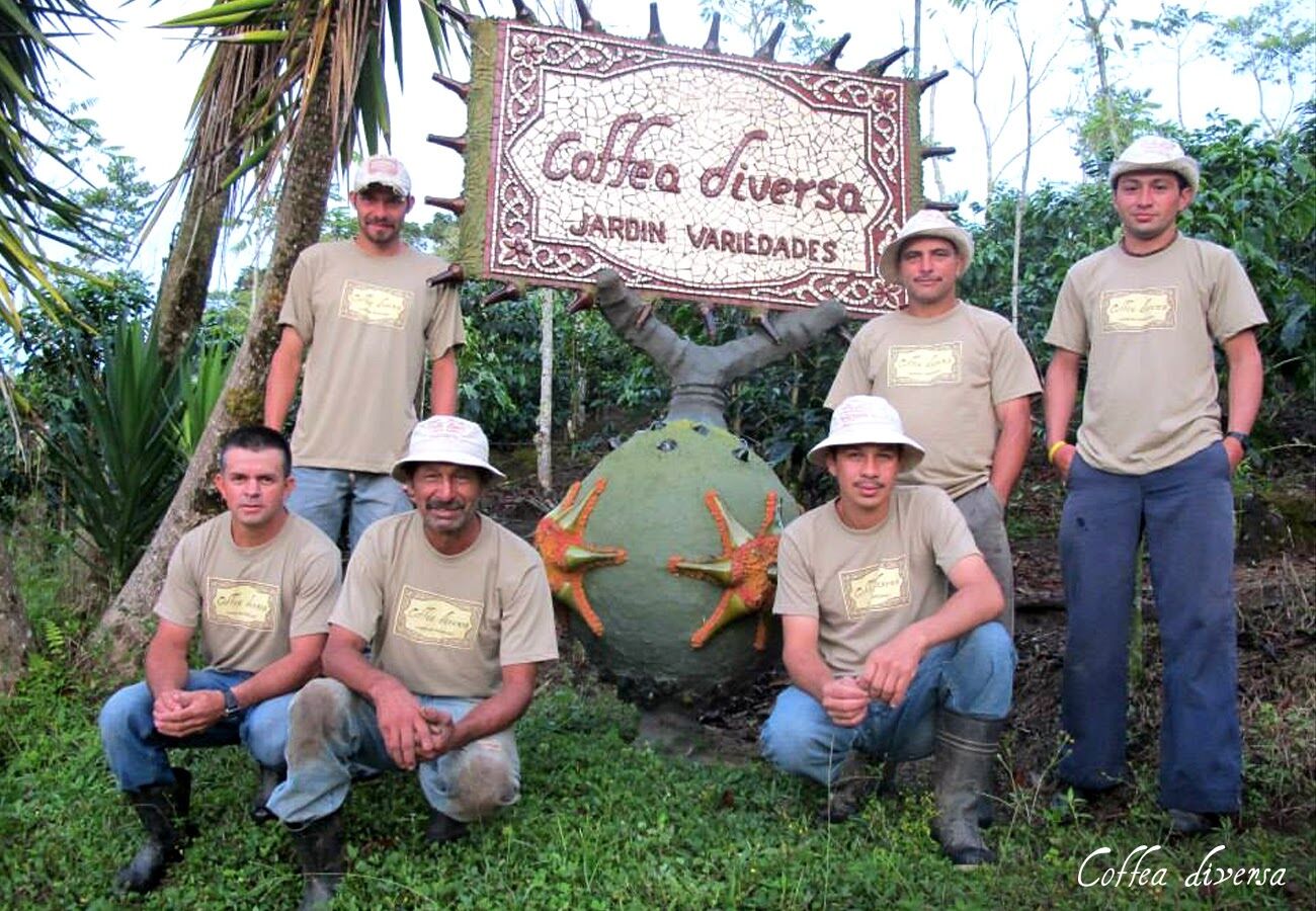 Coffea Diversa Geisha africano
