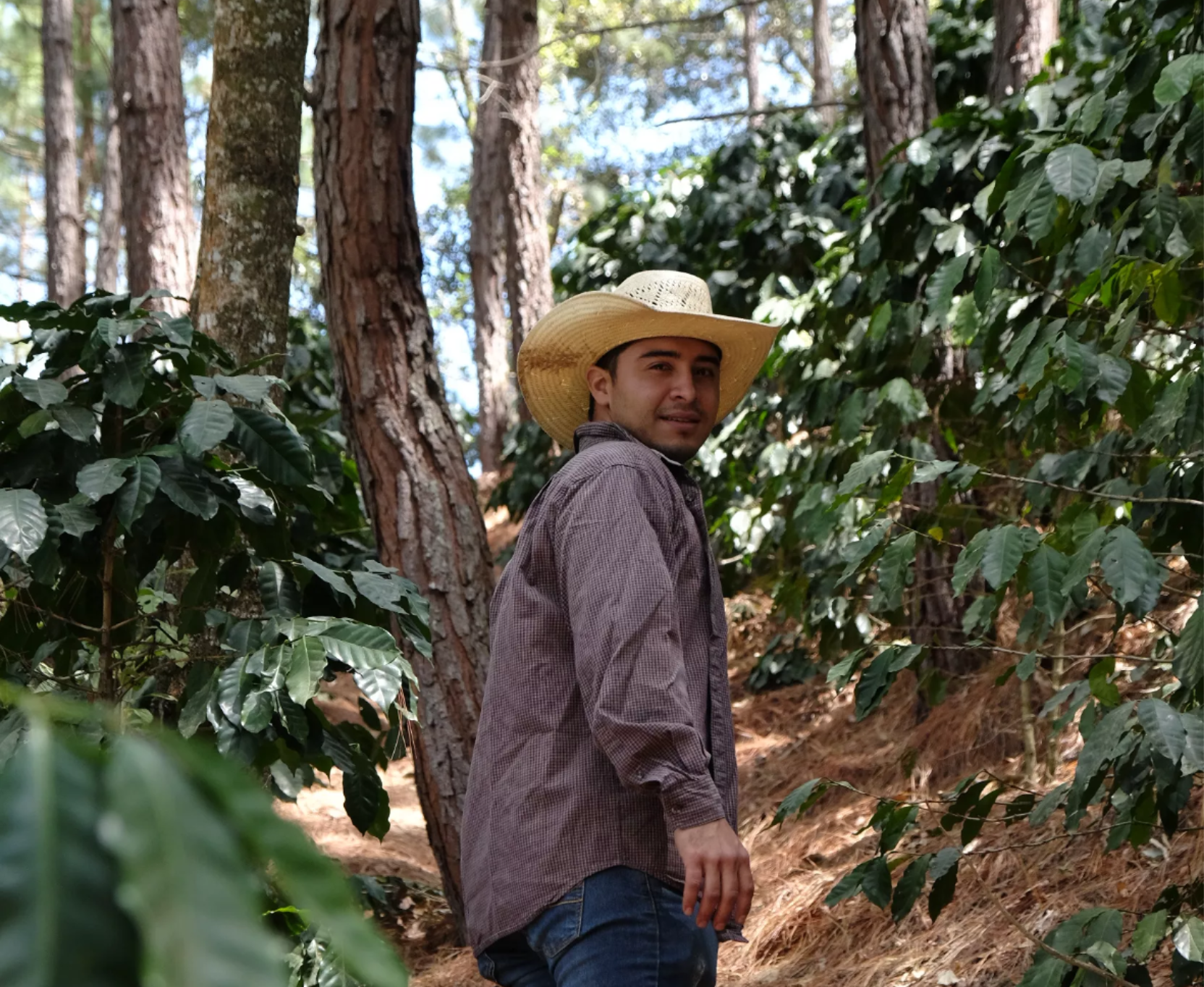 Copia de DSCF0622.JPG.png