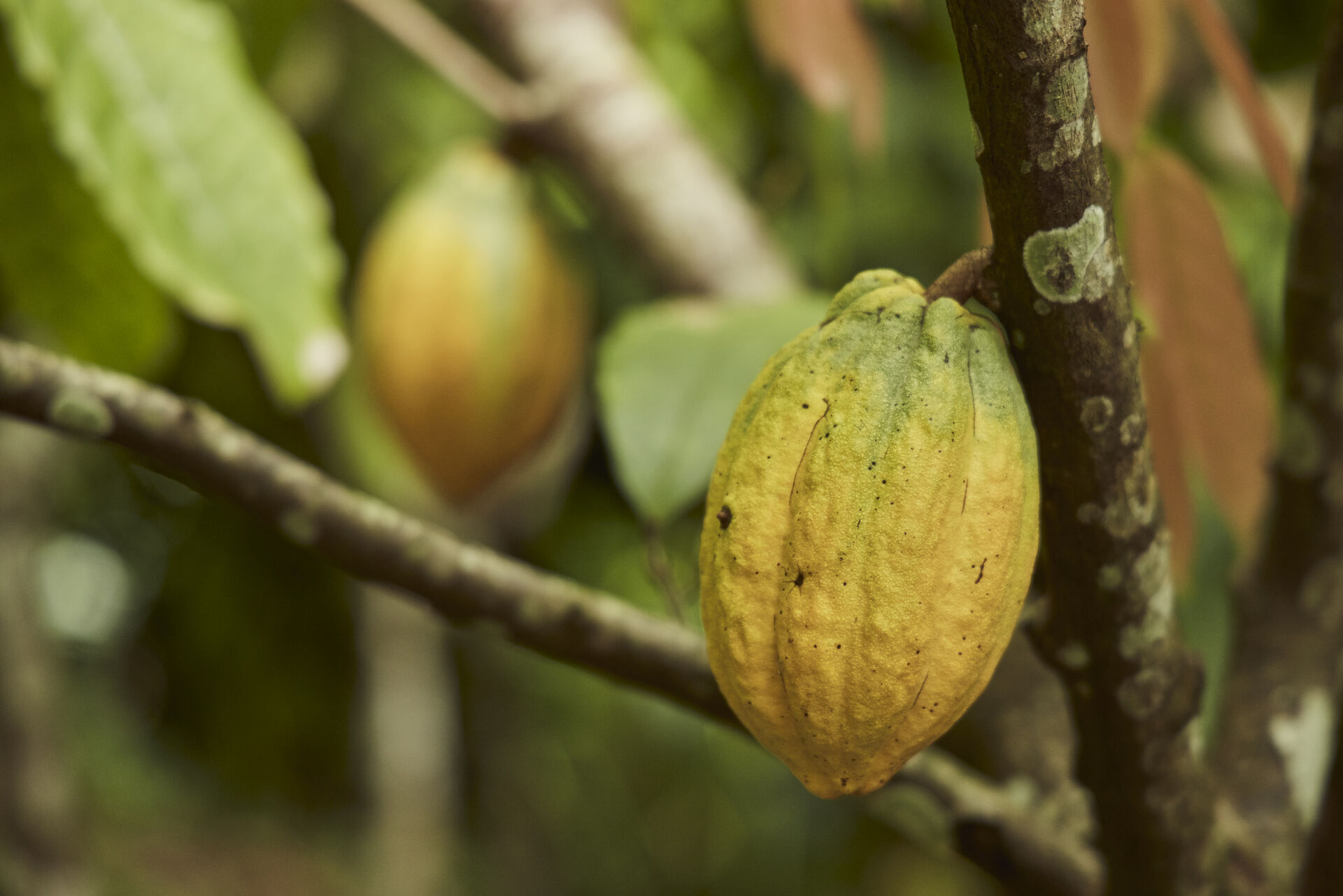 20231124_RLB MARTINIQUE_AB_72A0005-lr.jpg