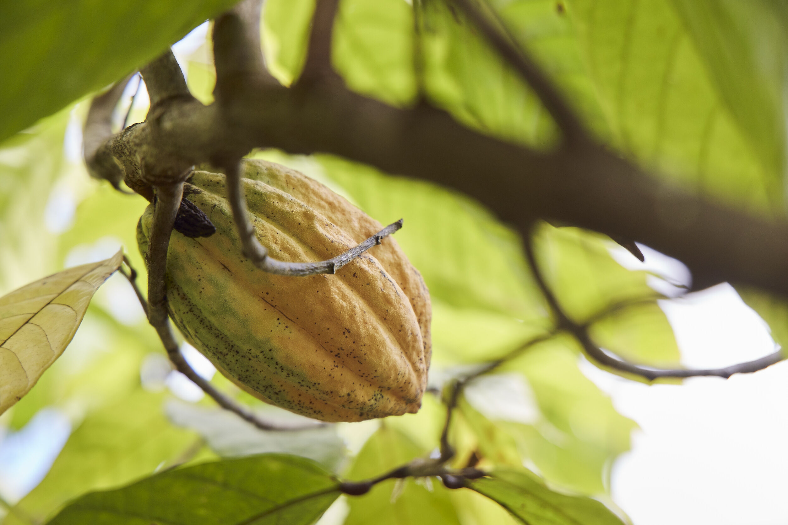 20231124_RLB MARTINIQUE_AB_72A0010-lr.jpg