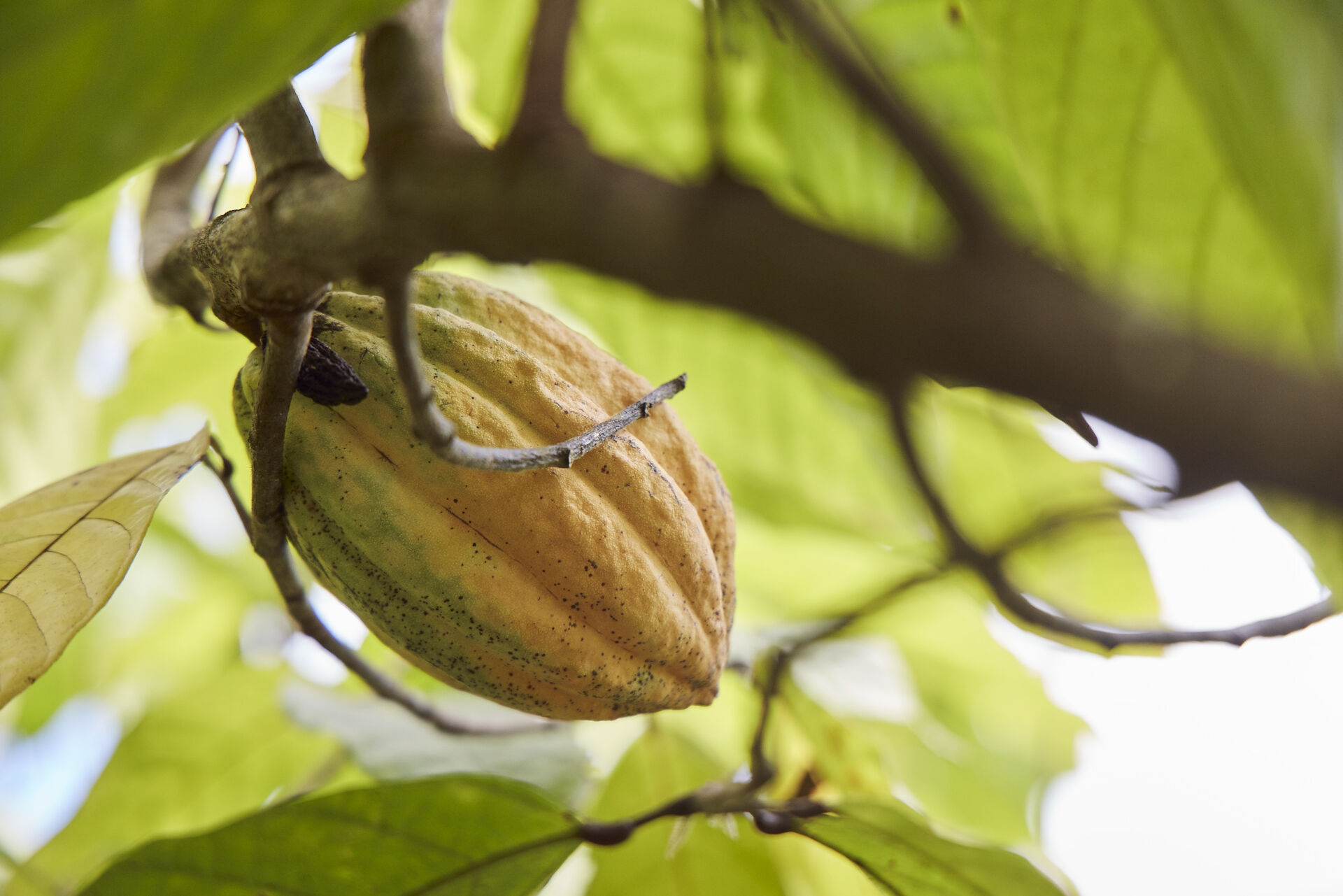 20231124_RLB MARTINIQUE_AB_72A0010-lr.jpg